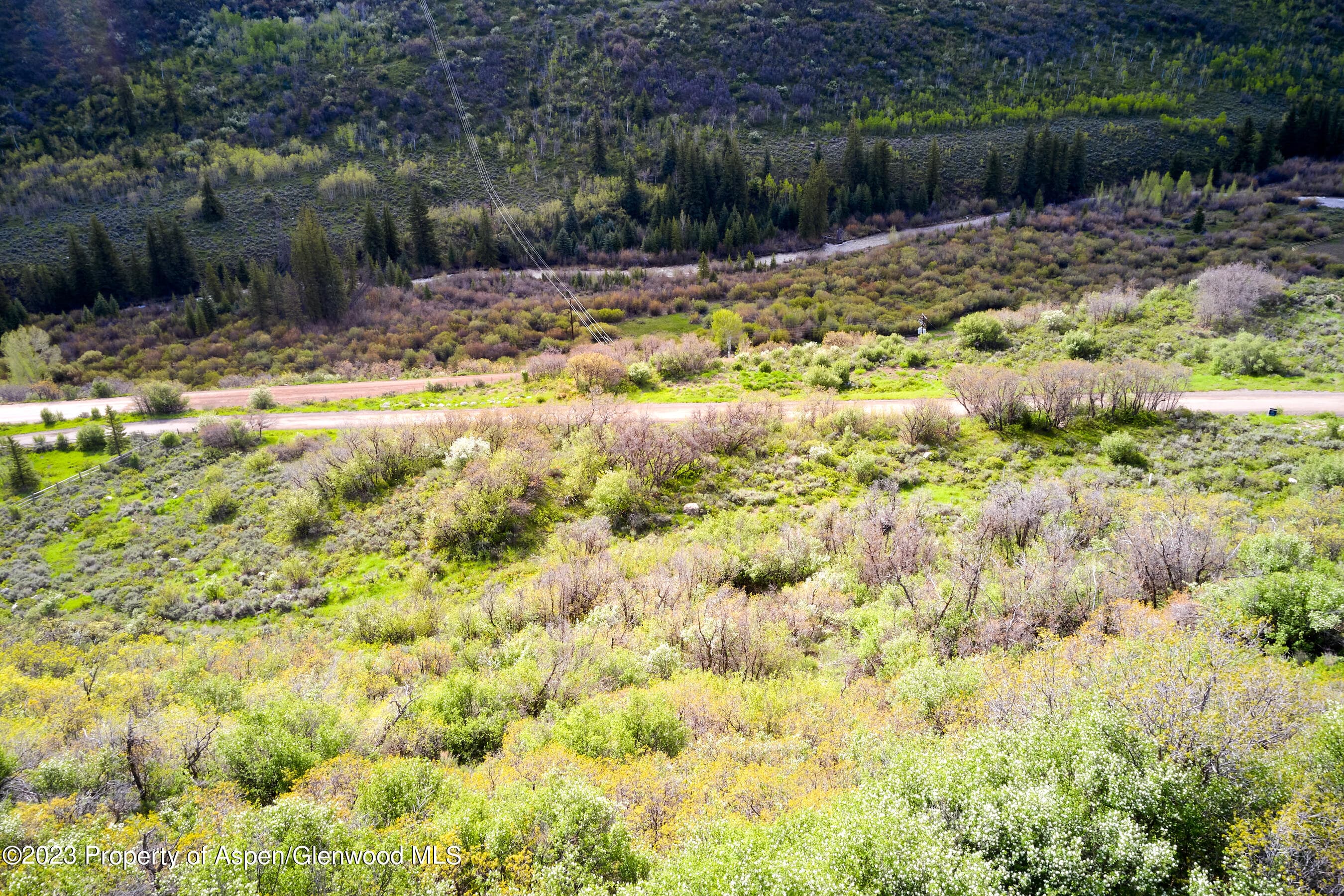 51 Shield O Road, Snowmass, CO 81654 - Photo 23