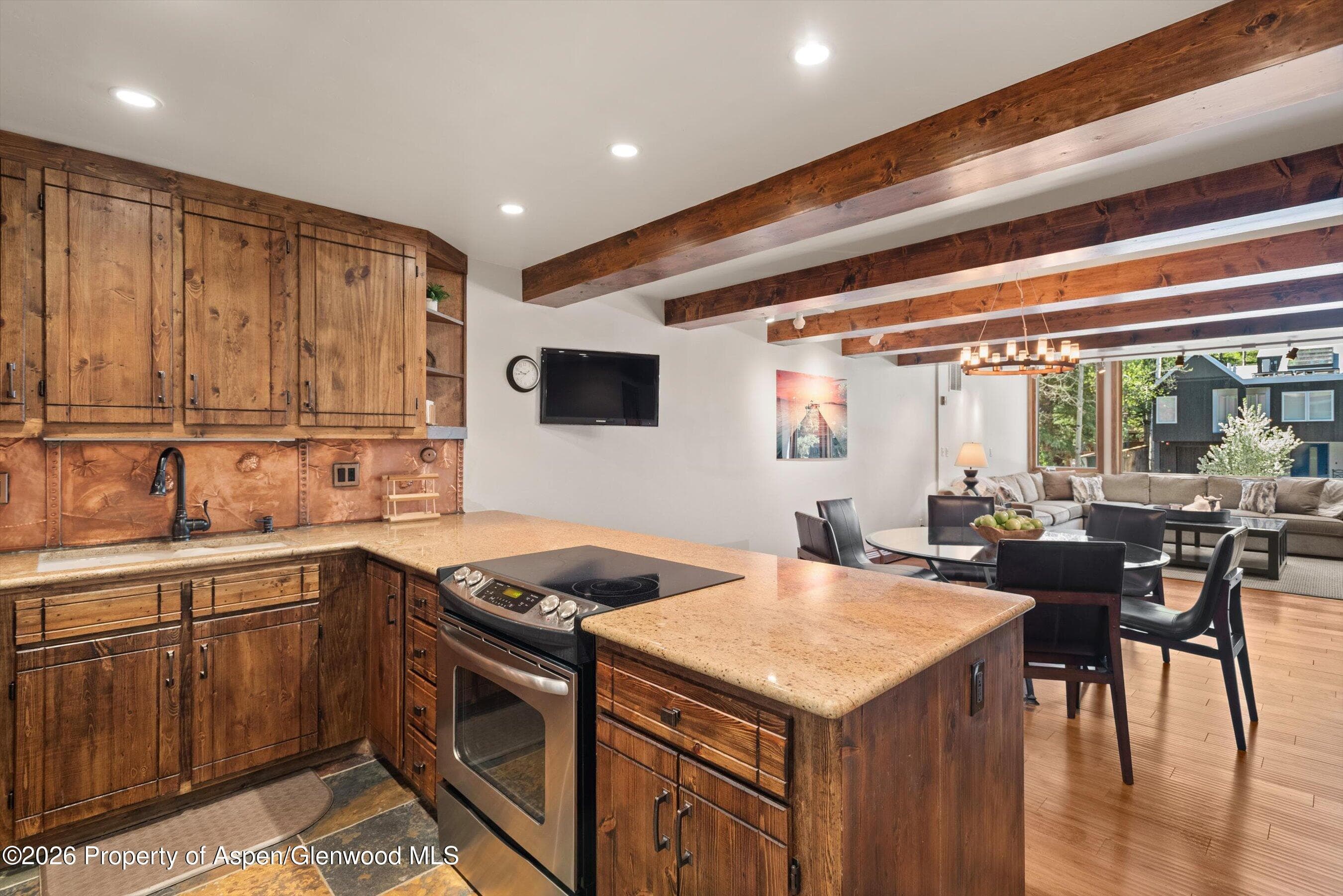 926 Waters Avenue 203, Aspen, CO 81611 - Photo 11
