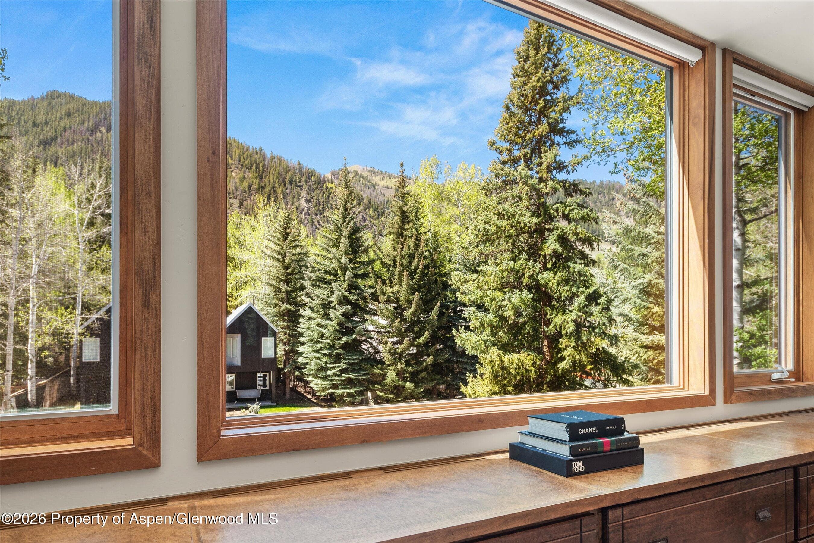 926 Waters Avenue 203, Aspen, CO 81611 - Photo 16