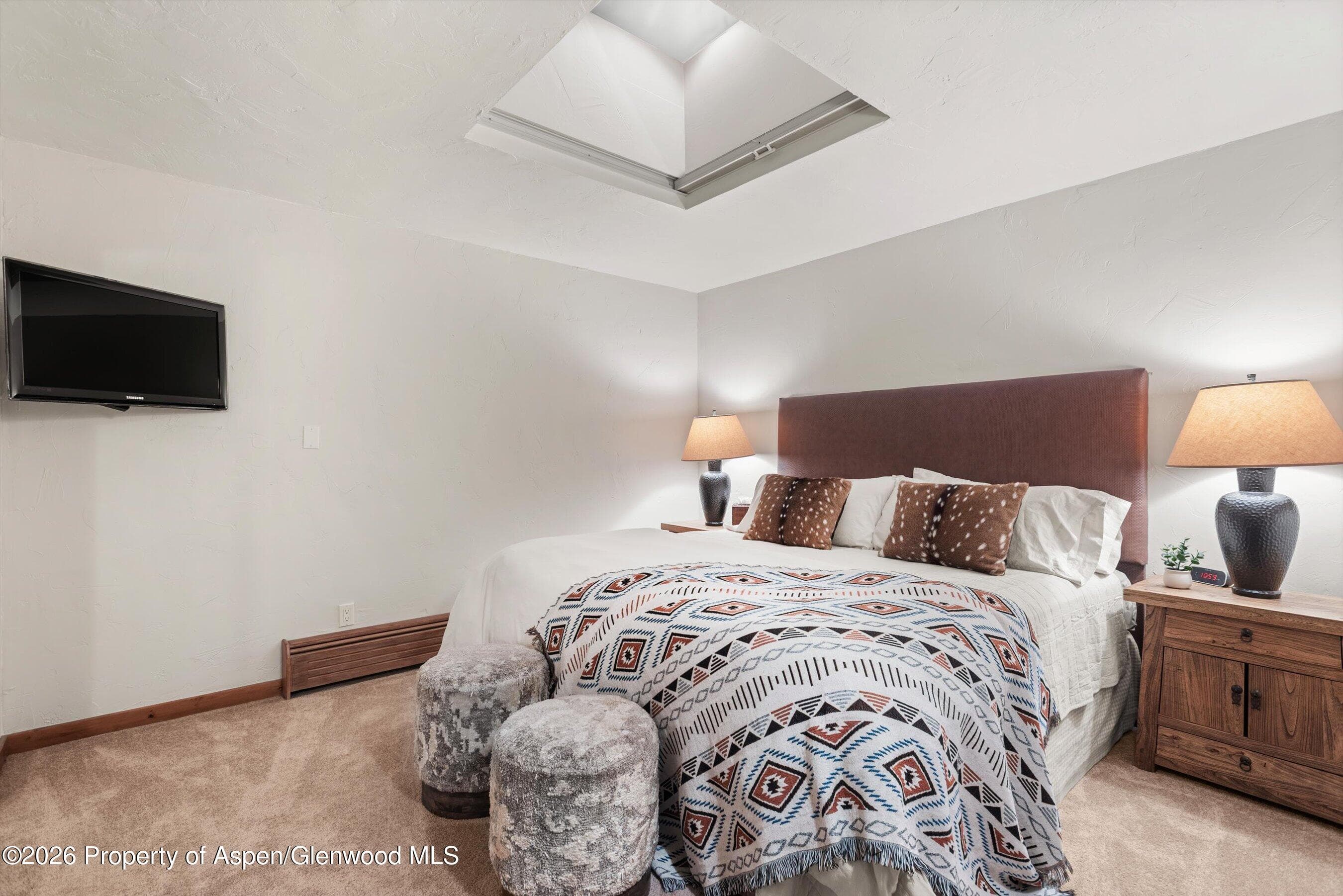 926 Waters Avenue 203, Aspen, CO 81611 - Photo 18
