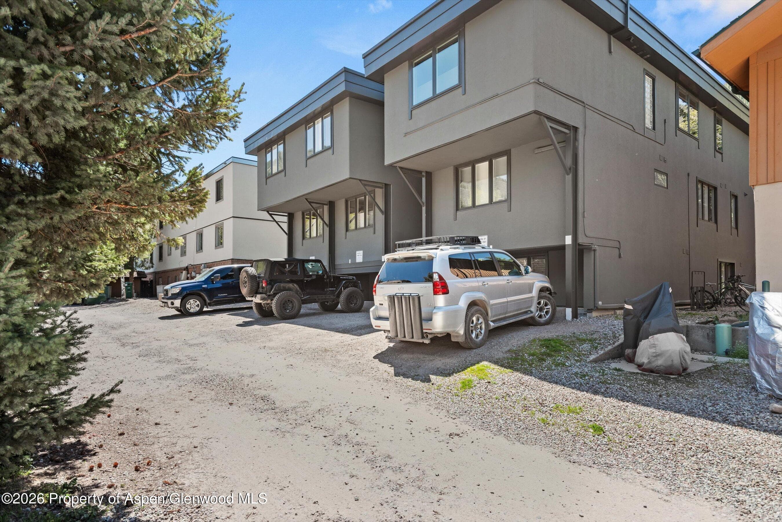 926 Waters Avenue 203, Aspen, CO 81611 - Photo 24