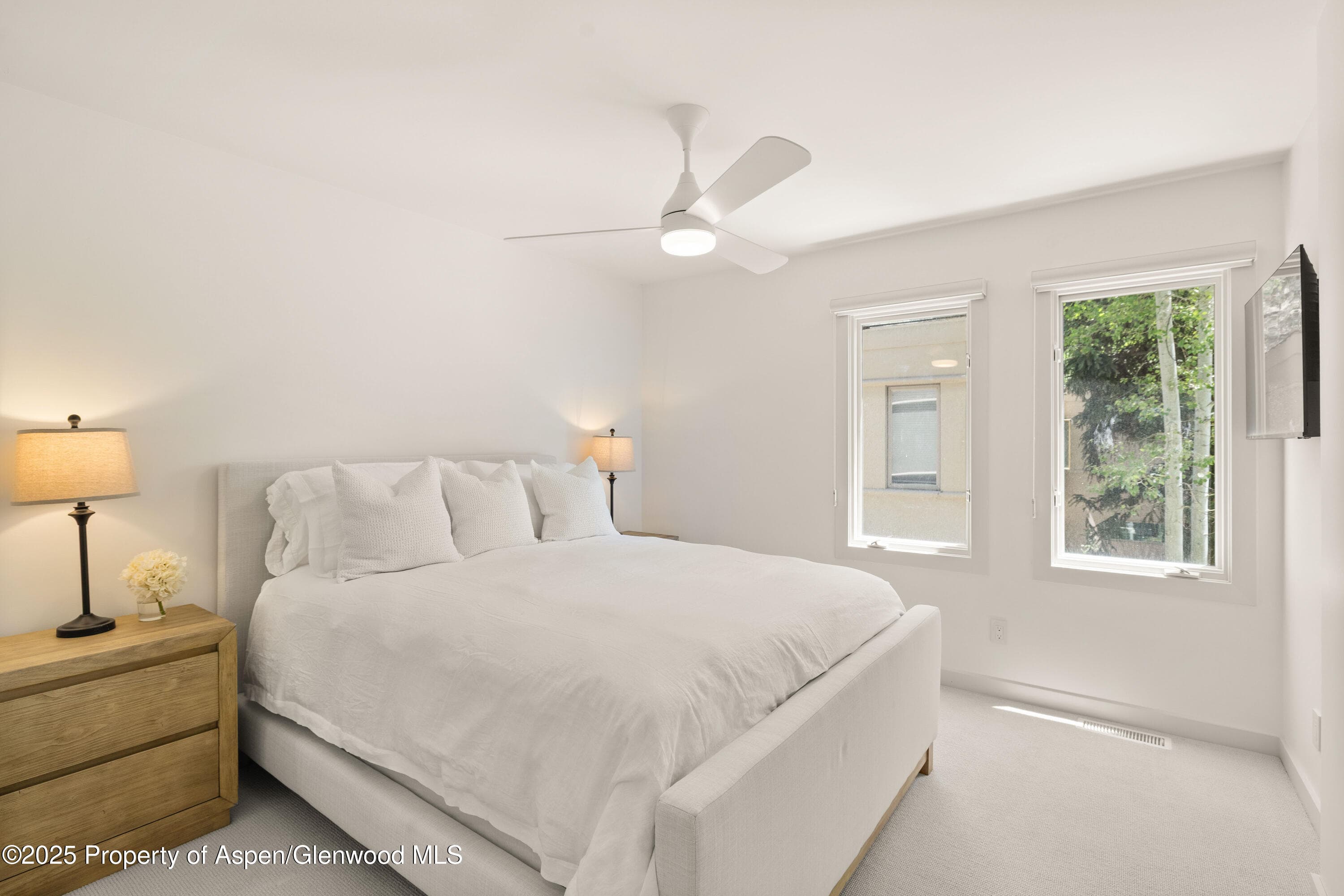 814 W Bleeker Street B2, Aspen, CO 81611 - Photo 11