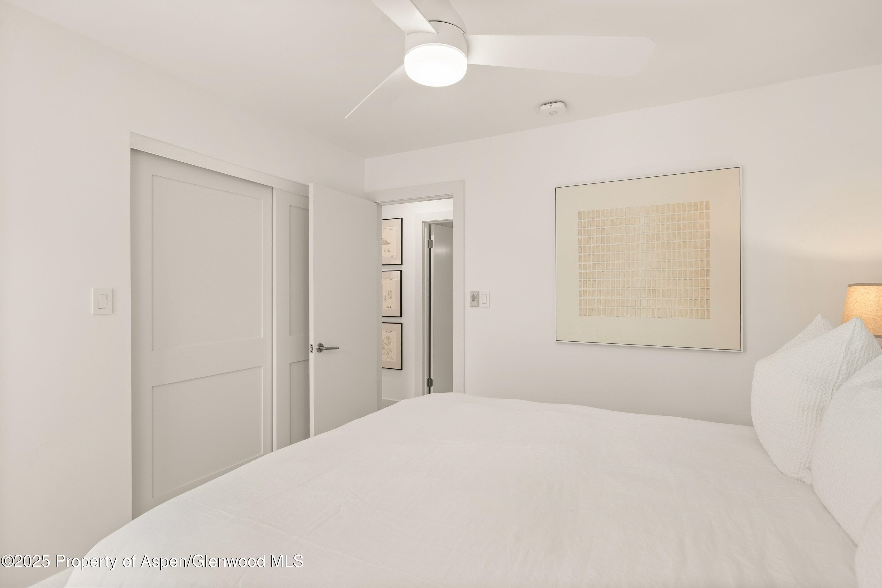 814 W Bleeker Street B2, Aspen, CO 81611 - Photo 12