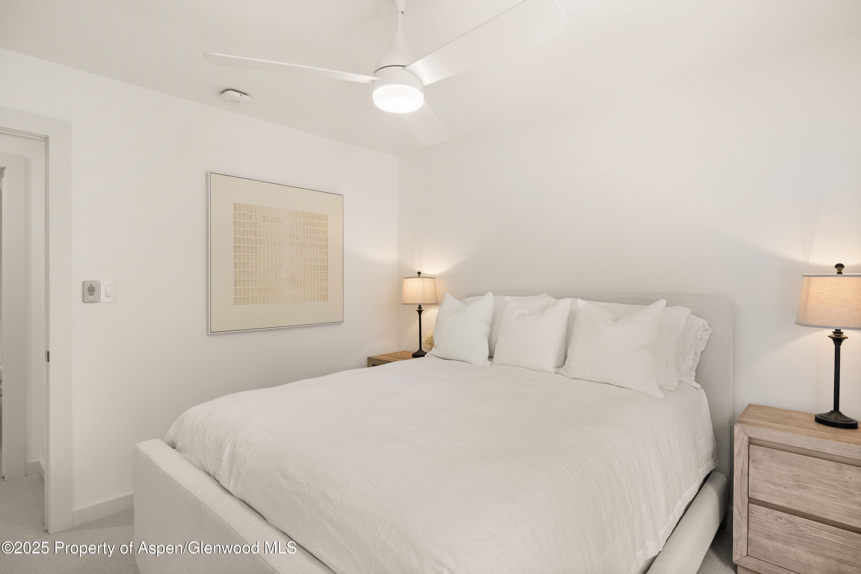 814 W Bleeker Street B2, Aspen, CO 81611 - Photo 13