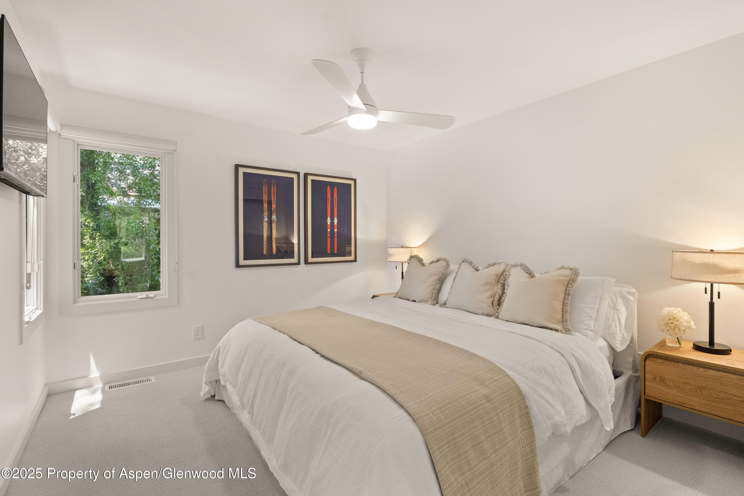 814 W Bleeker Street B2, Aspen, CO 81611 - Photo 15
