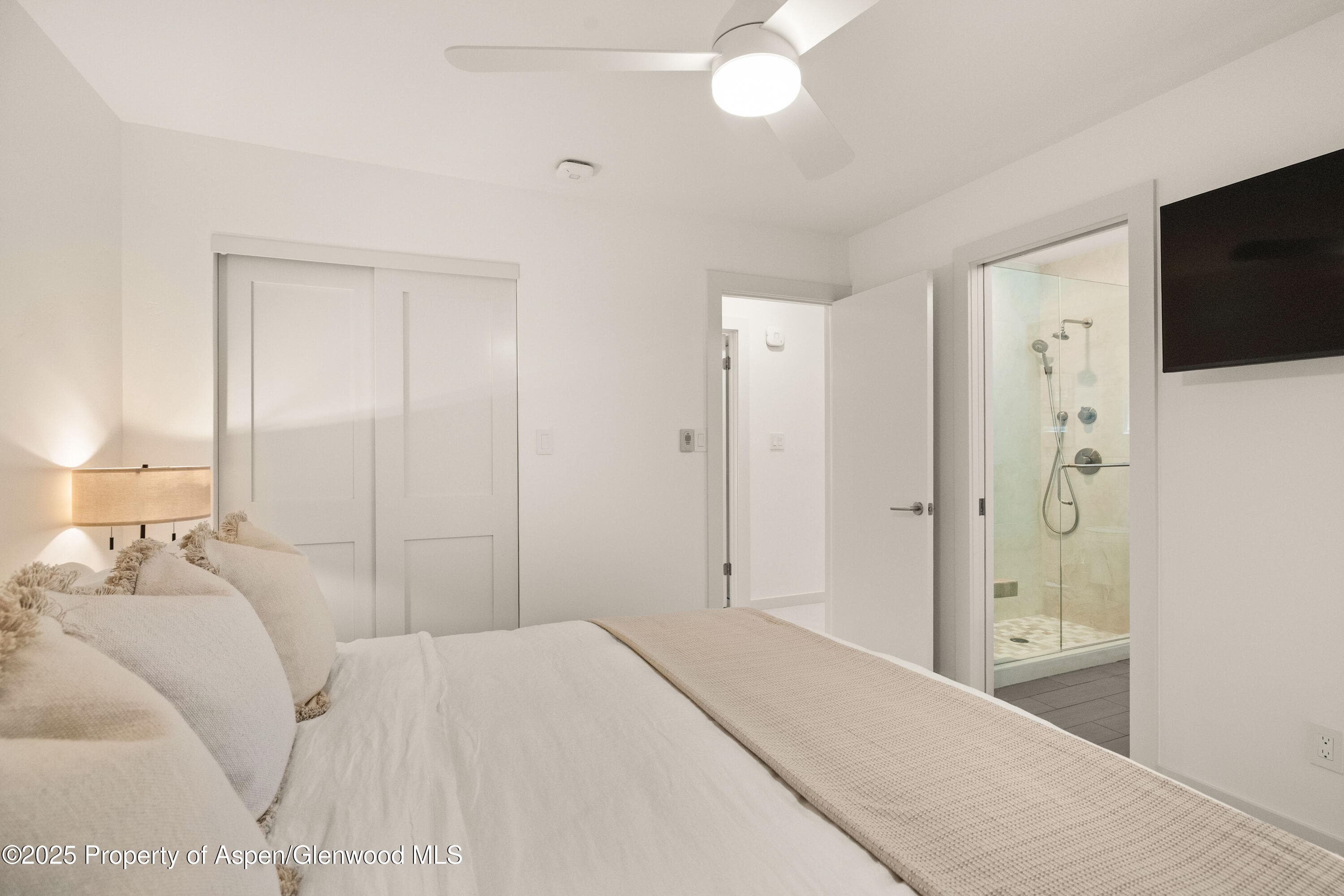 814 W Bleeker Street B2, Aspen, CO 81611 - Photo 16