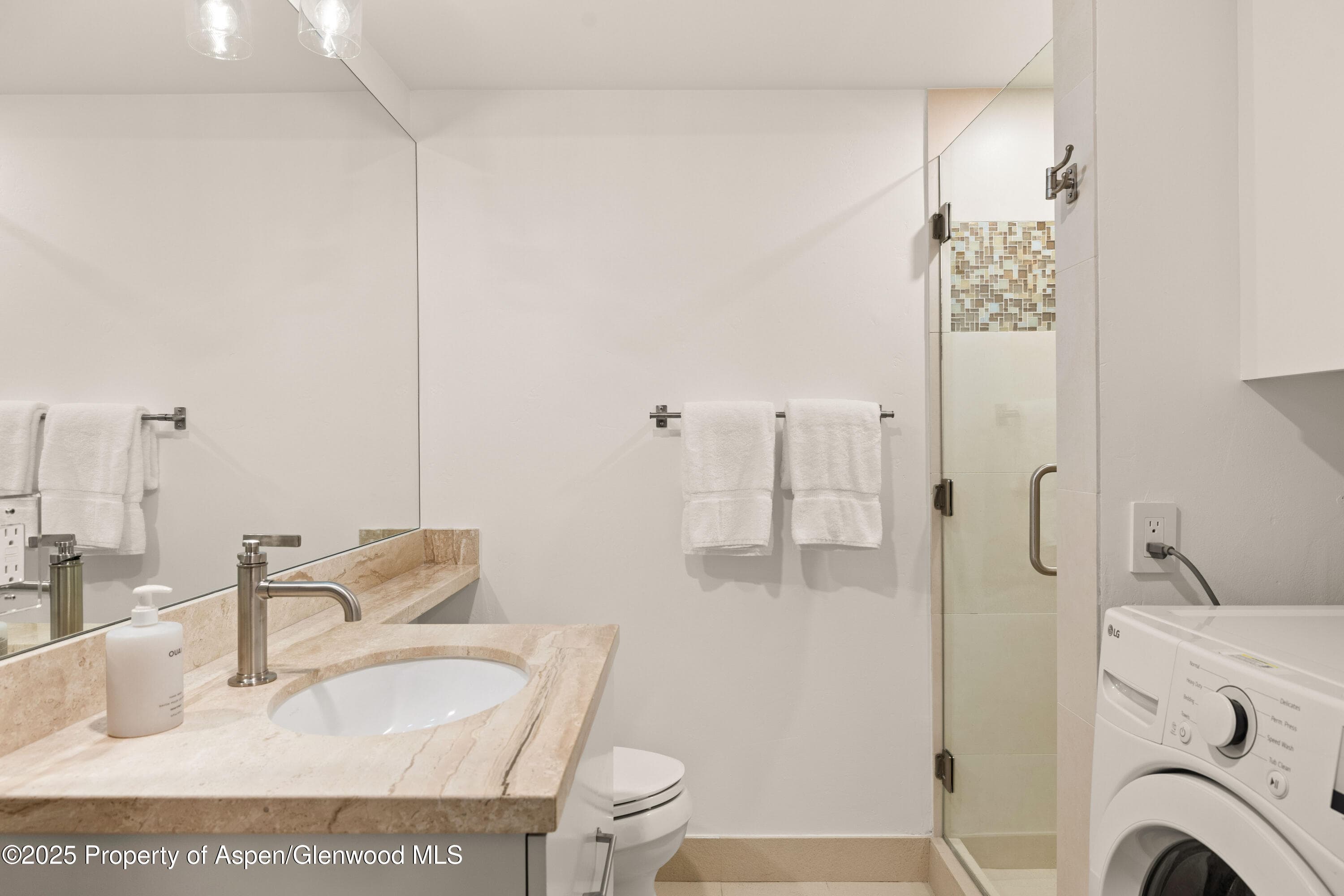 814 W Bleeker Street B2, Aspen, CO 81611 - Photo 21