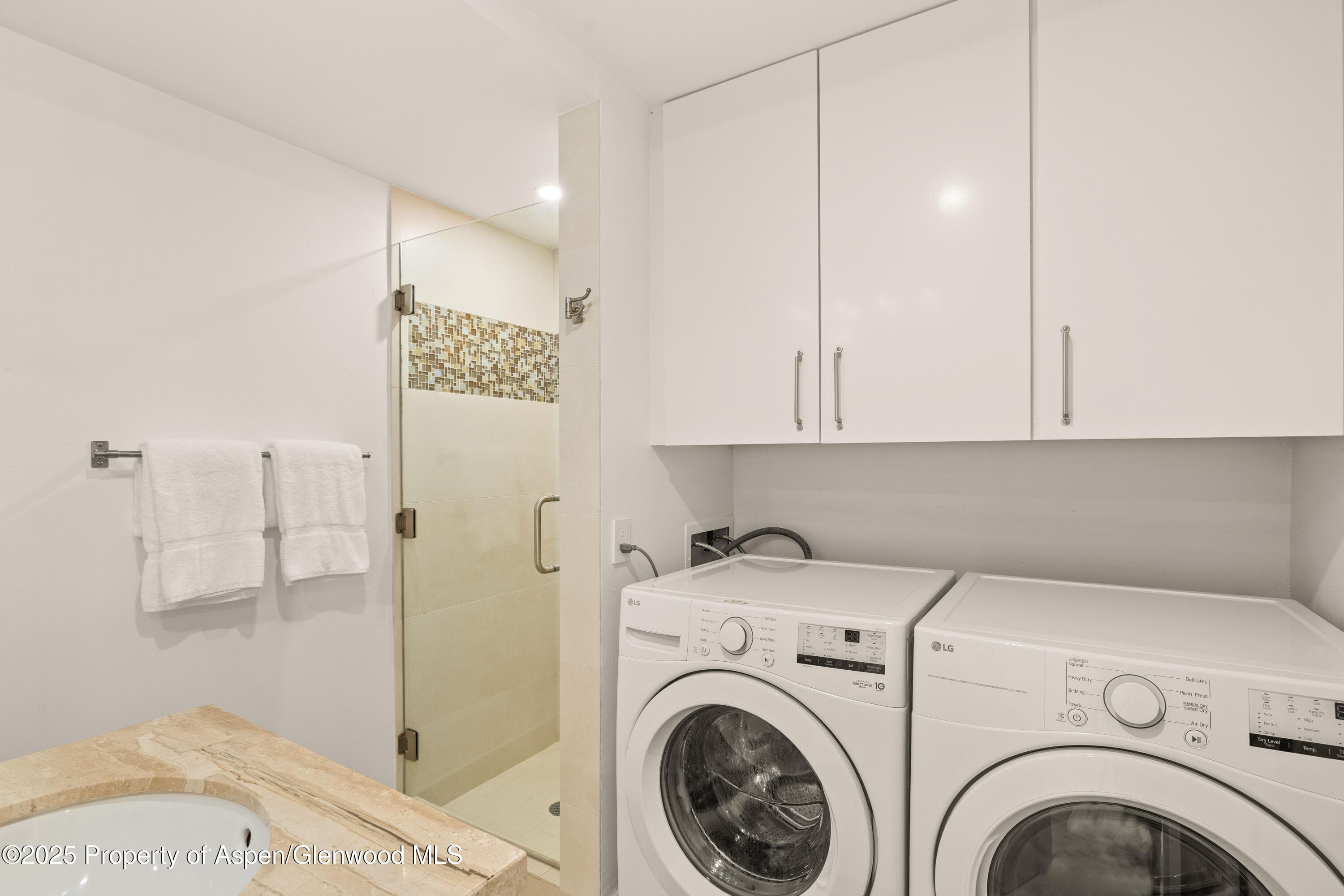 814 W Bleeker Street B2, Aspen, CO 81611 - Photo 23