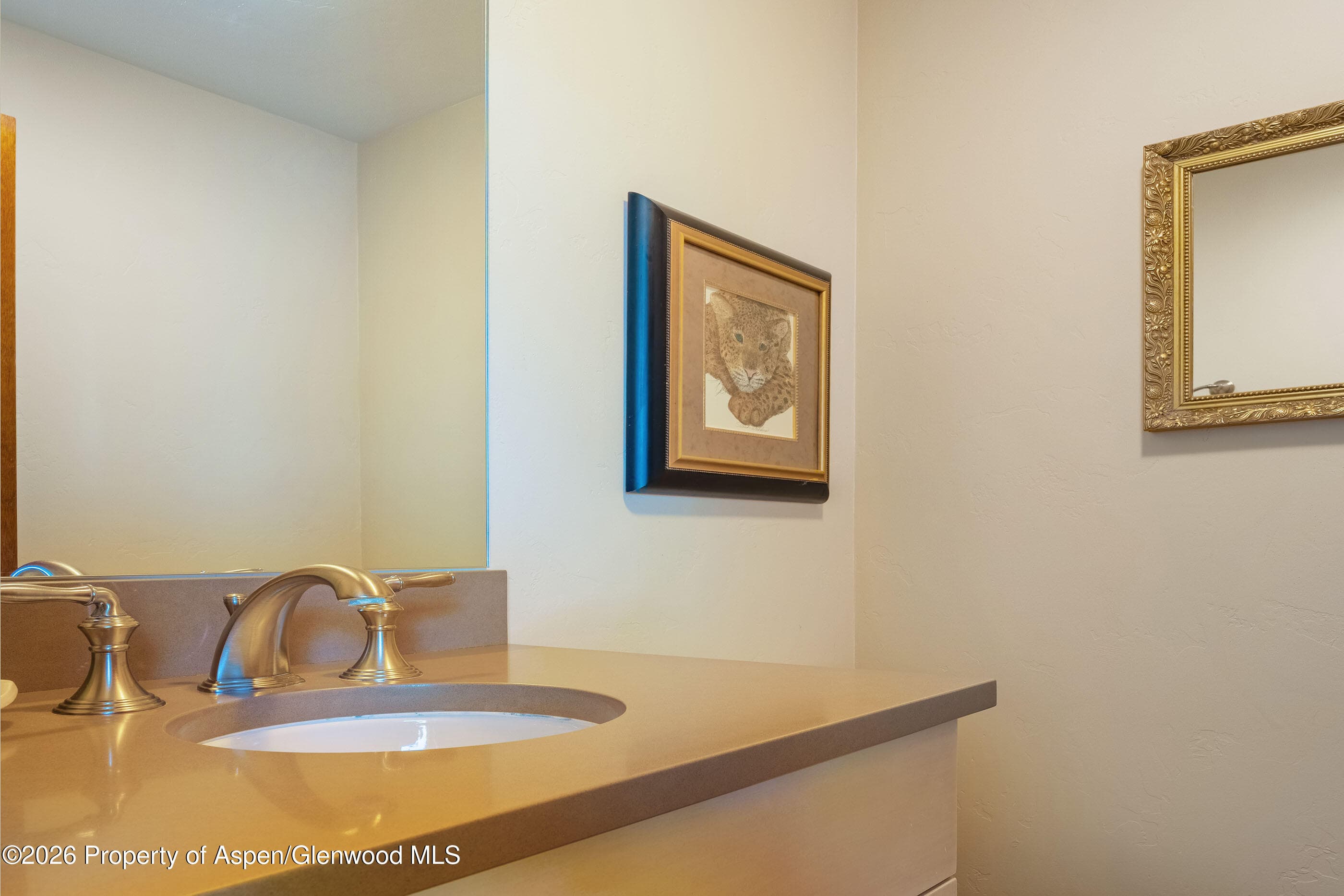 400 W Hopkins Avenue 5, Aspen, CO 81611 - Photo 17