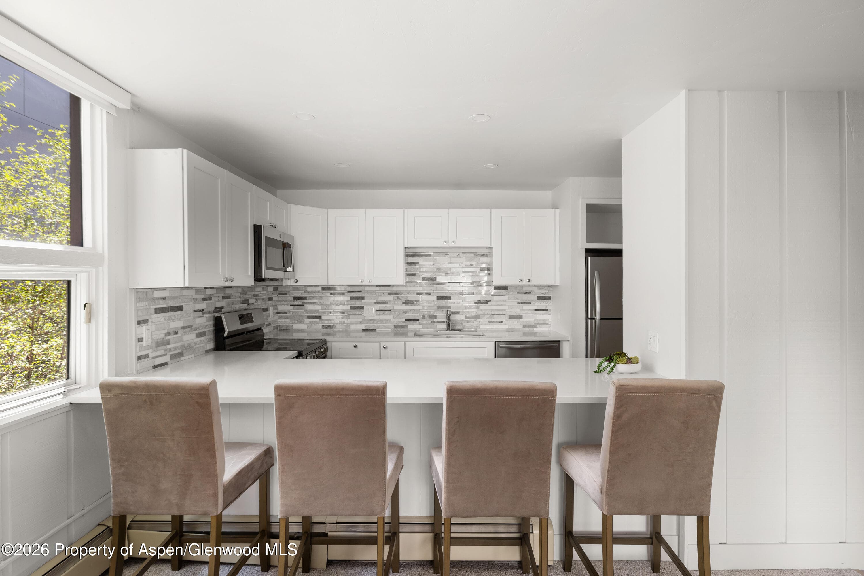 605 E Main Street #9, Aspen, CO 81611 - Photo 3