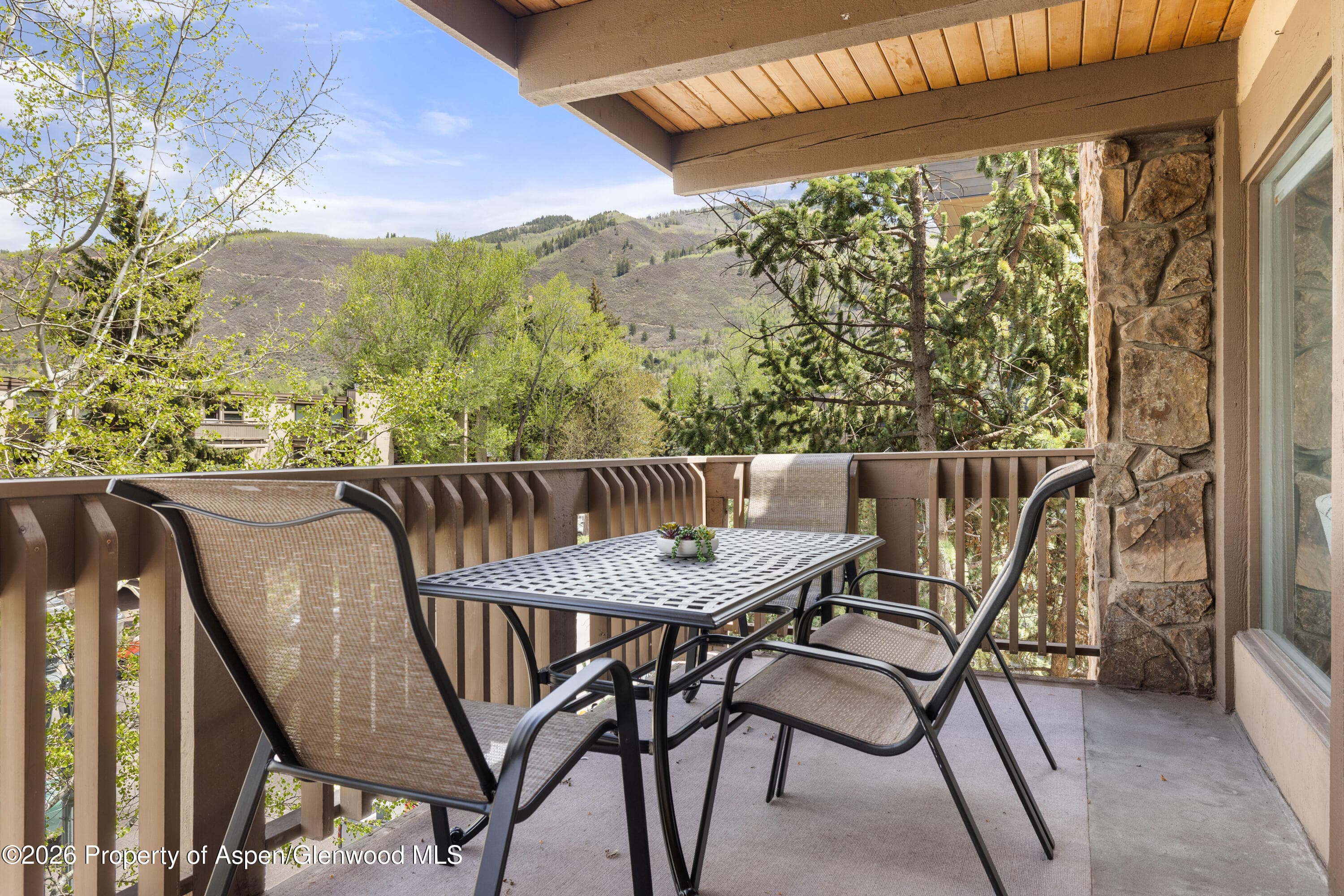 605 E Main Street #9, Aspen, CO 81611 - Photo 6