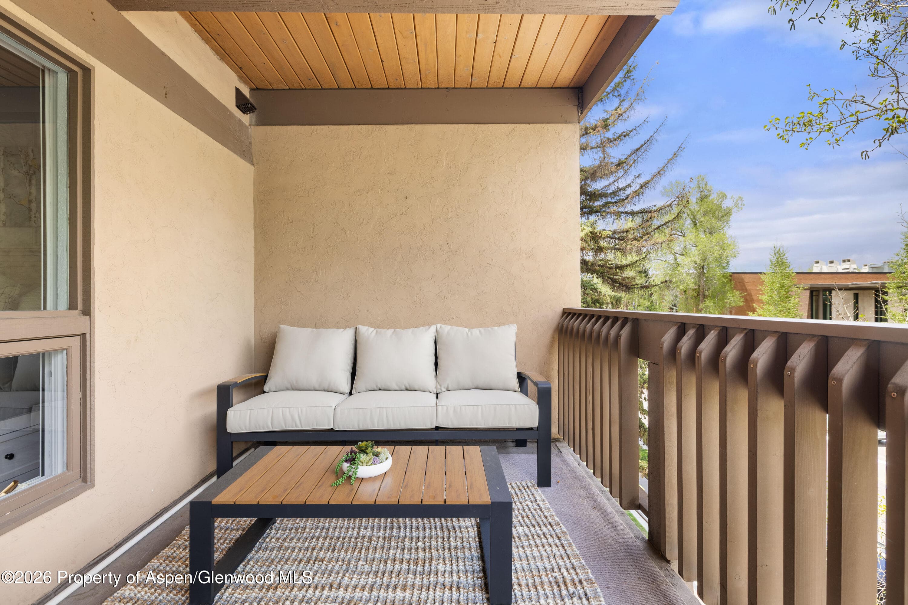605 E Main Street #9, Aspen, CO 81611 - Photo 8