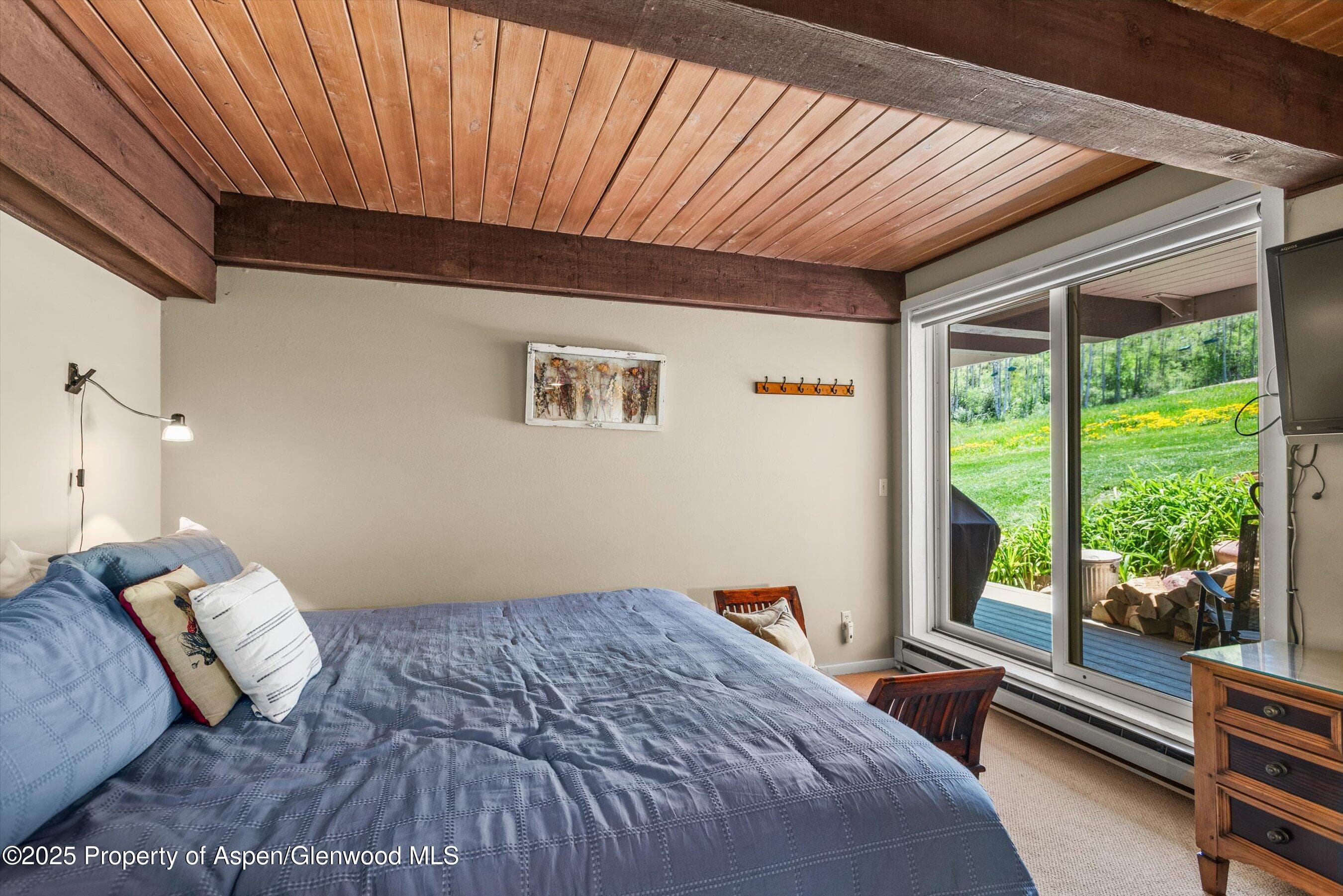 360 Wood Road Unit 103, Snowmass Village, CO 81615 - Photo 7