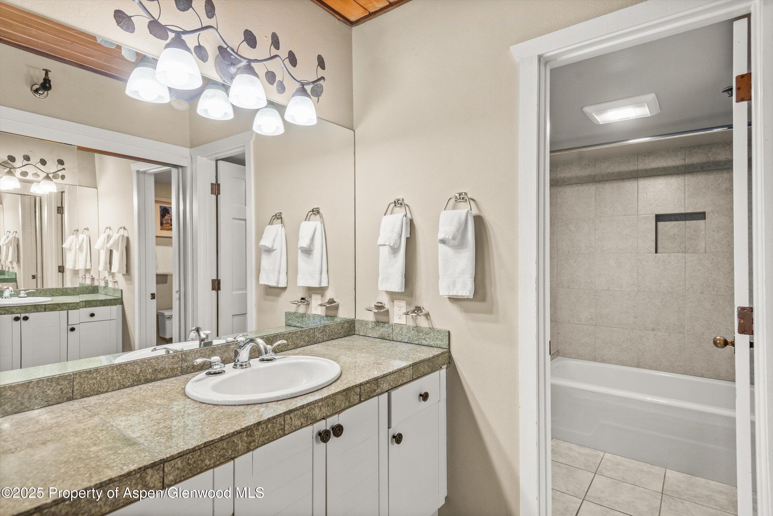 360 Wood Road Unit 103, Snowmass Village, CO 81615 - Photo 8