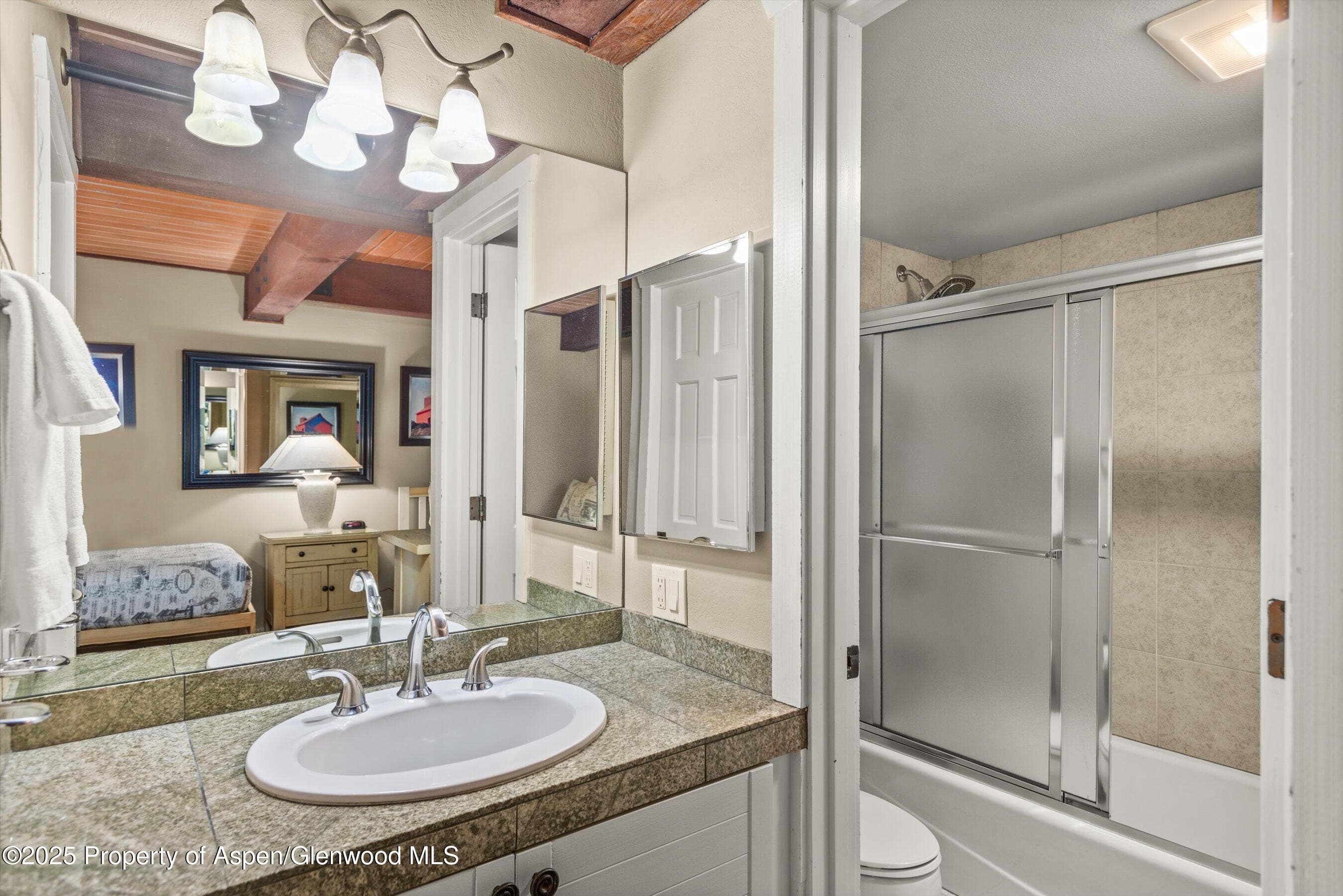 360 Wood Road Unit 103, Snowmass Village, CO 81615 - Photo 10