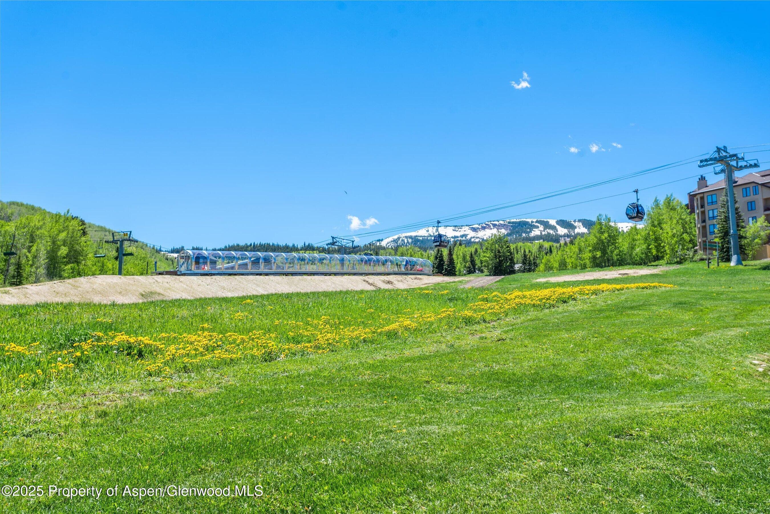360 Wood Road Unit 103, Snowmass Village, CO 81615 - Photo 11
