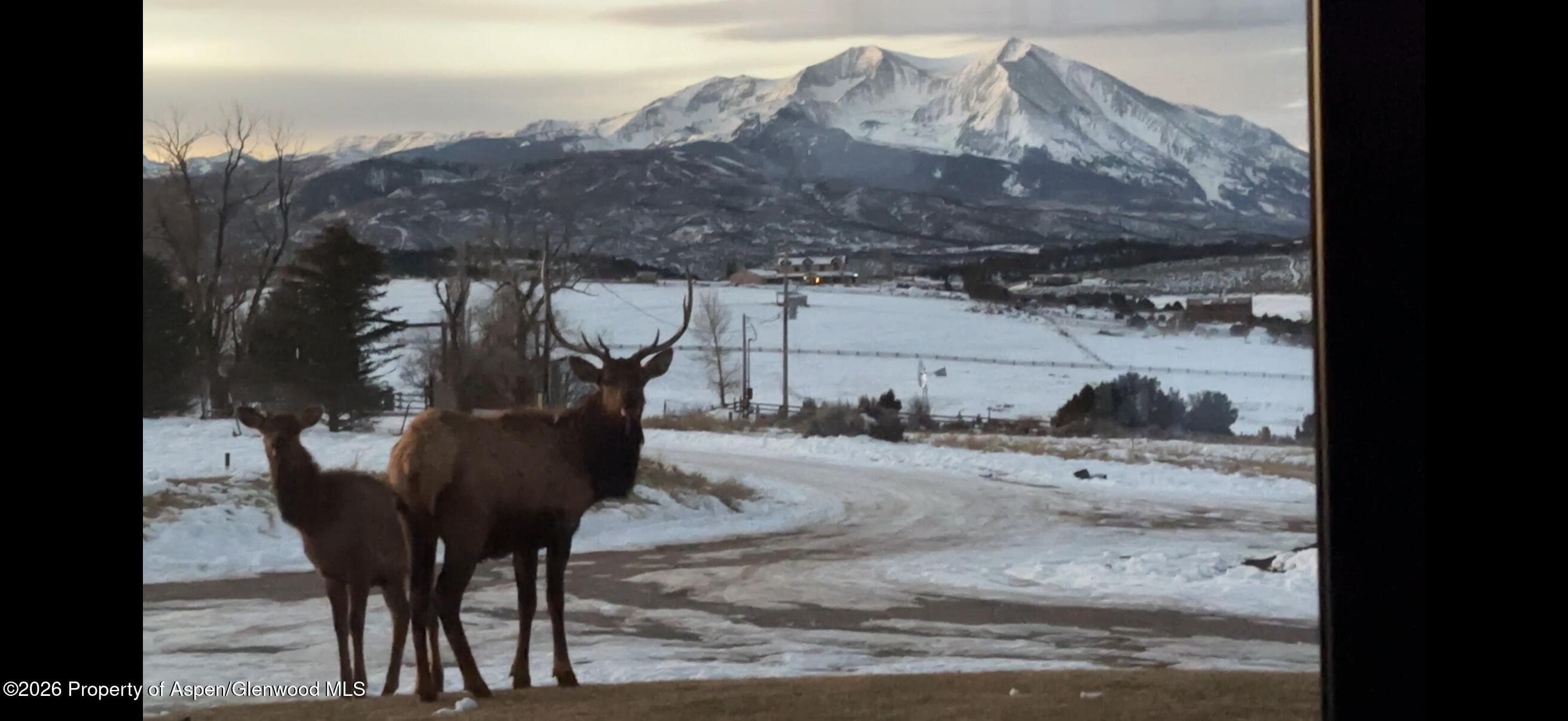 893 County Road 102, Carbondale, CO 81623 - Photo 74