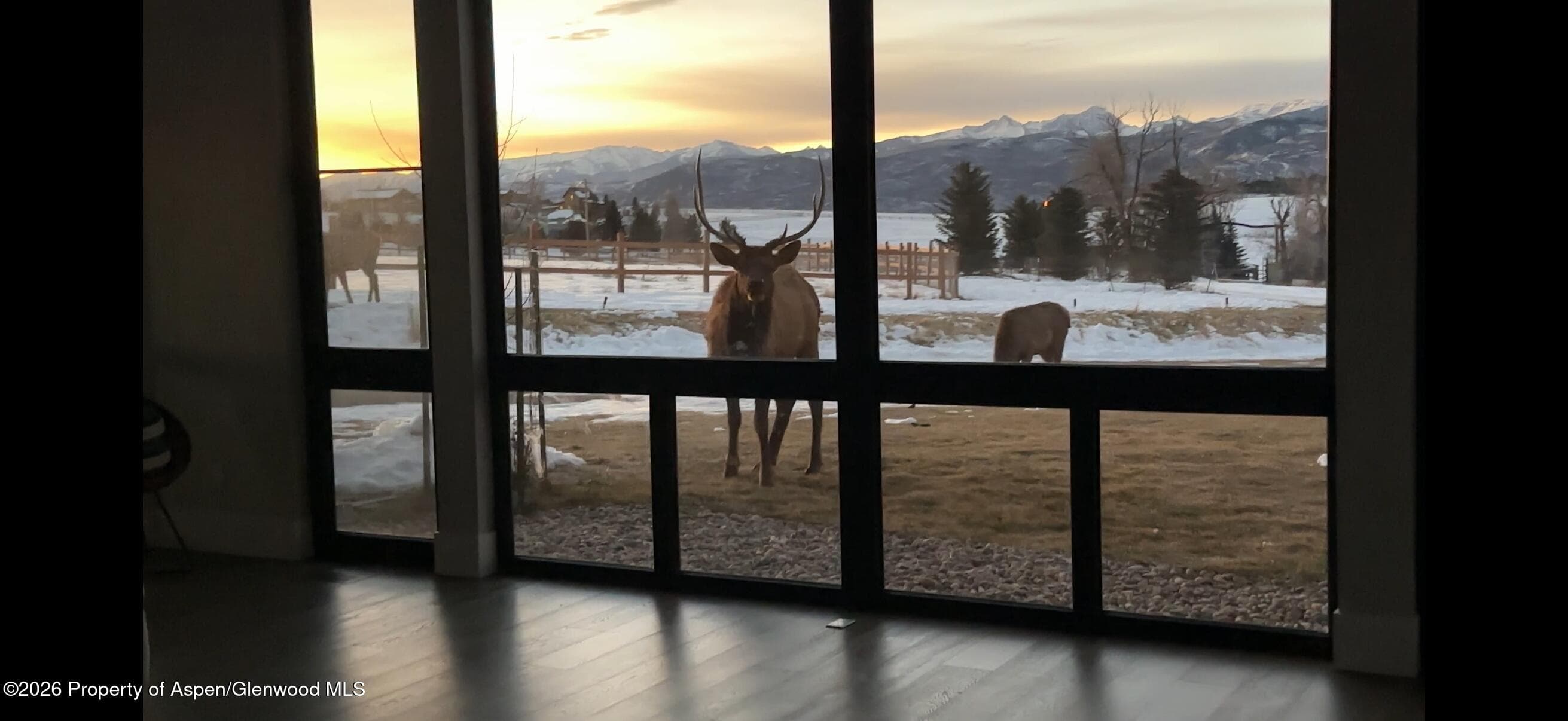 893 County Road 102, Carbondale, CO 81623 - Photo 72