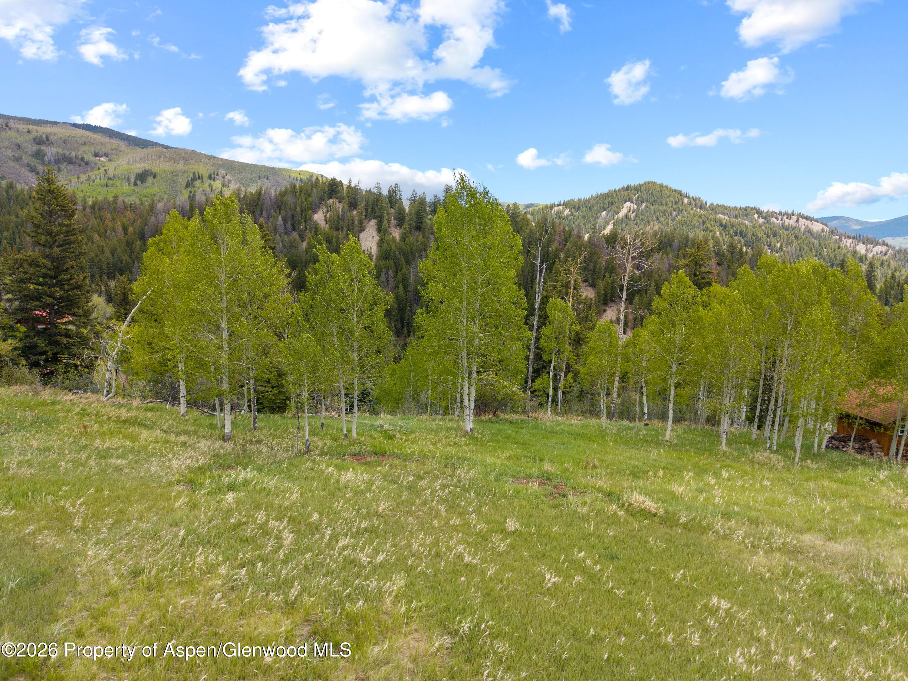 1239 Mclaughlin Lane, Basalt, CO 81621 - Photo 8