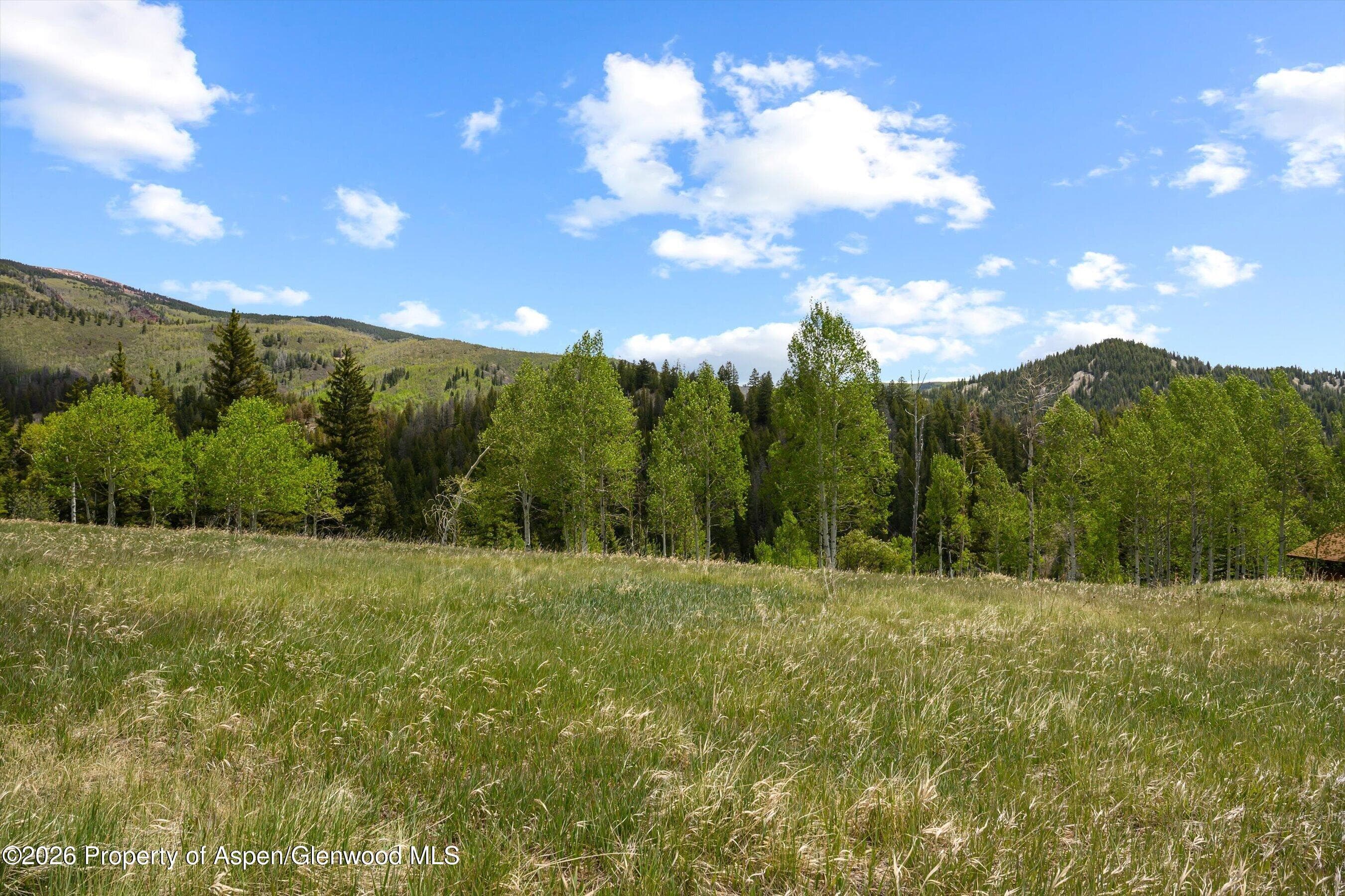 1239 Mclaughlin Lane, Basalt, CO 81621 - Photo 17