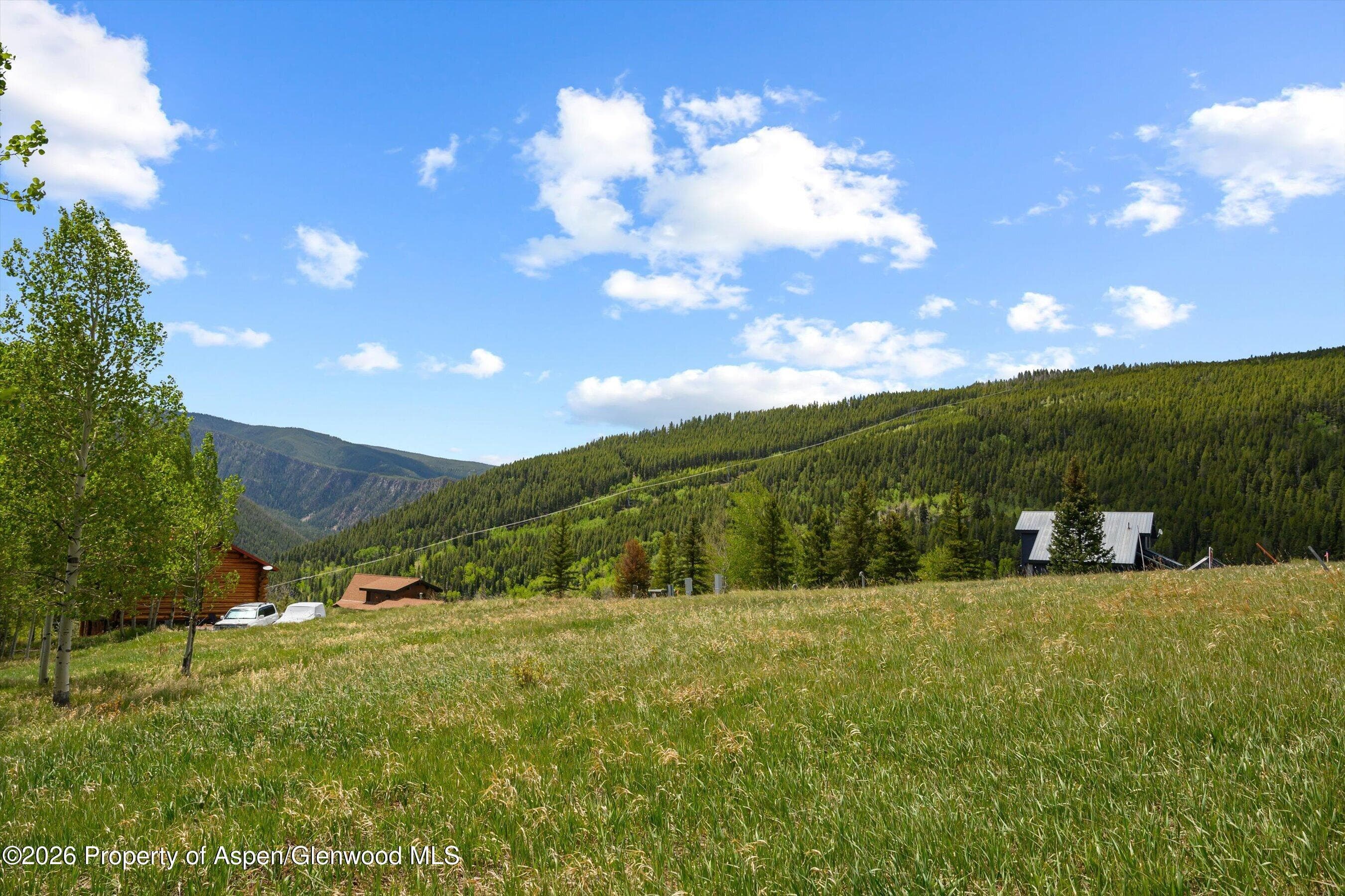 1239 Mclaughlin Lane, Basalt, CO 81621 - Photo 18