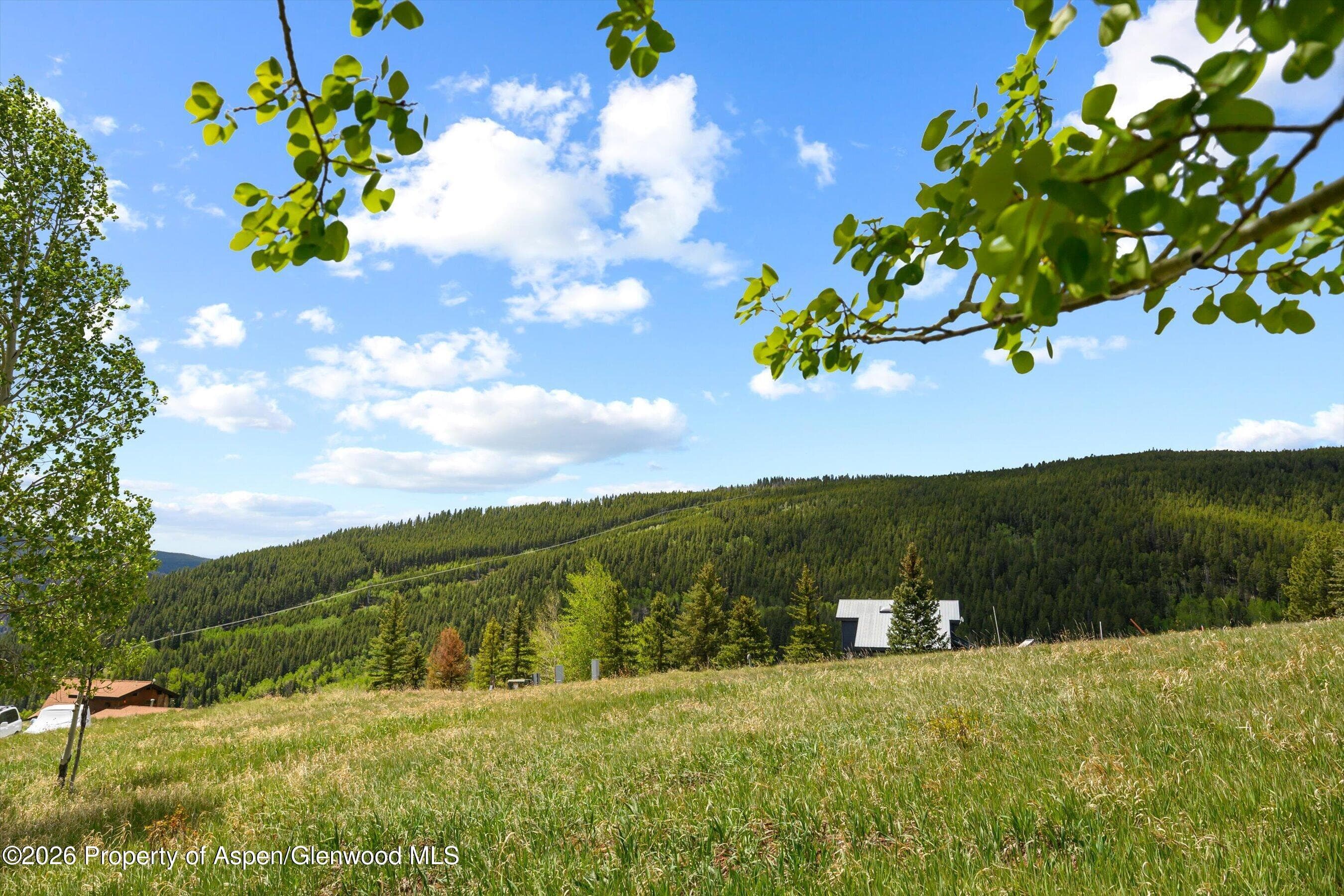 1239 Mclaughlin Lane, Basalt, CO 81621 - Photo 19