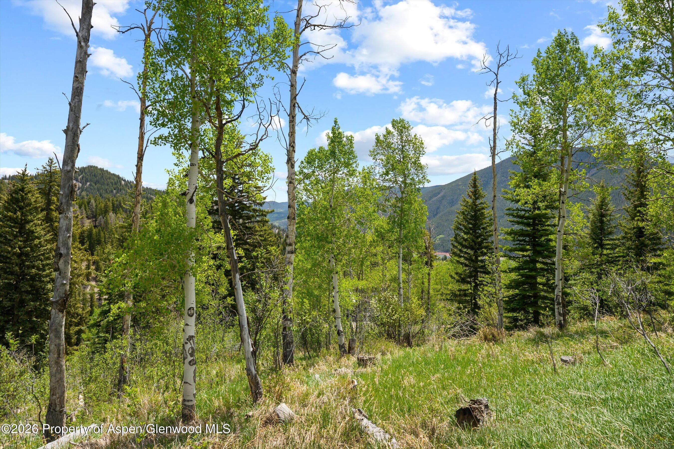 1239 Mclaughlin Lane, Basalt, CO 81621 - Photo 20