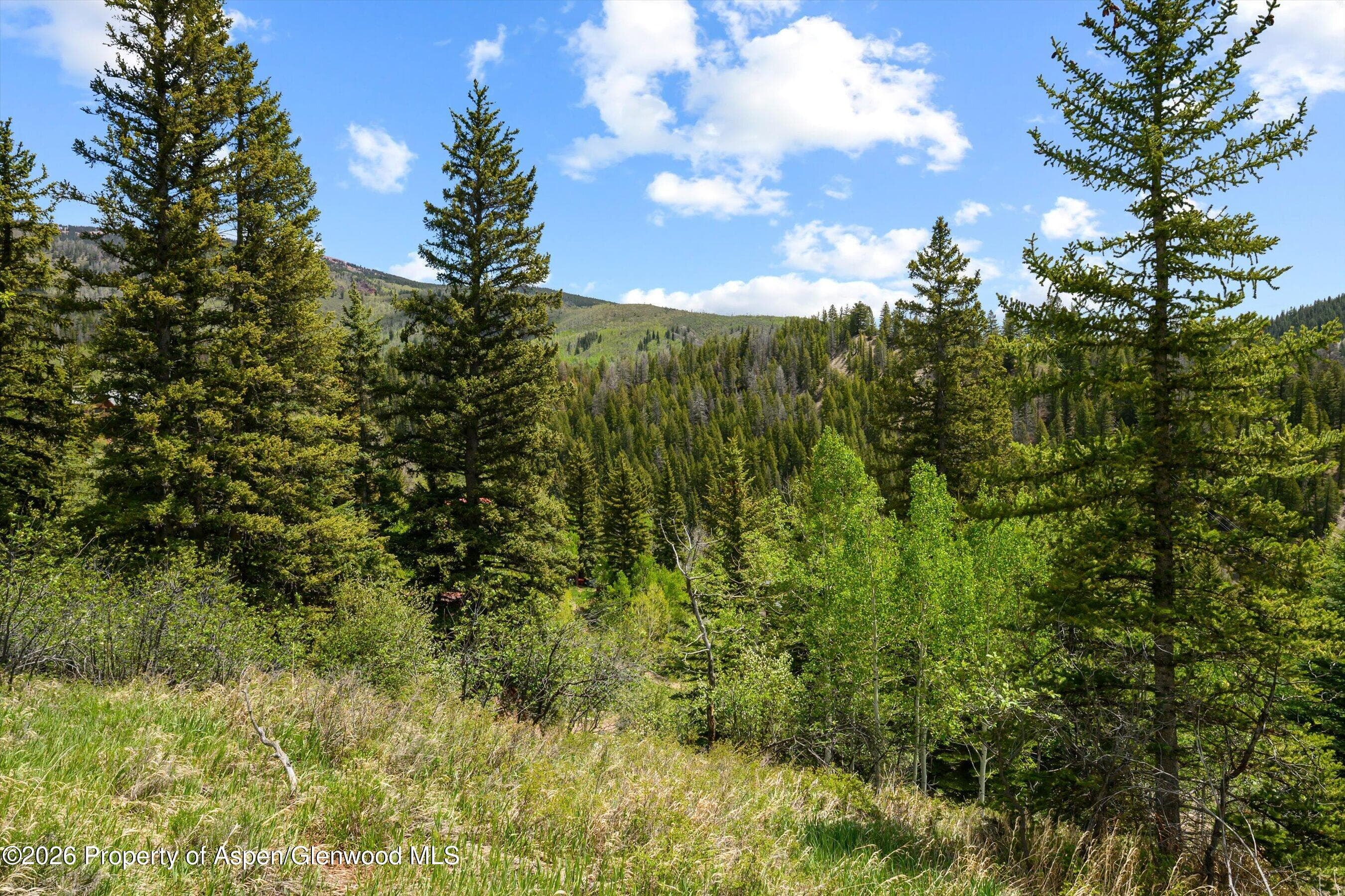 1239 Mclaughlin Lane, Basalt, CO 81621 - Photo 21