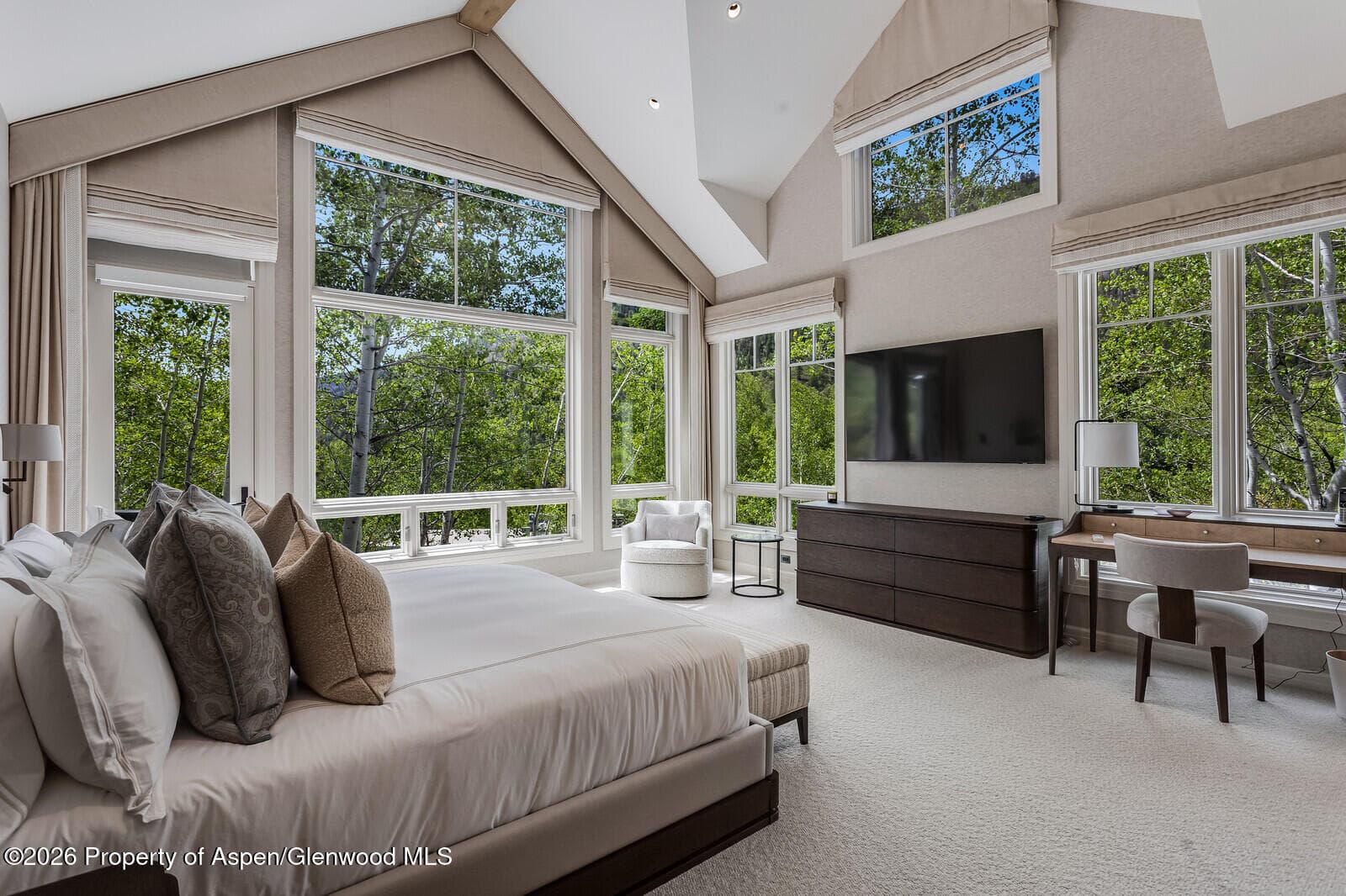 222 Roaring Fork Drive, Aspen, CO 81611 - Photo 21