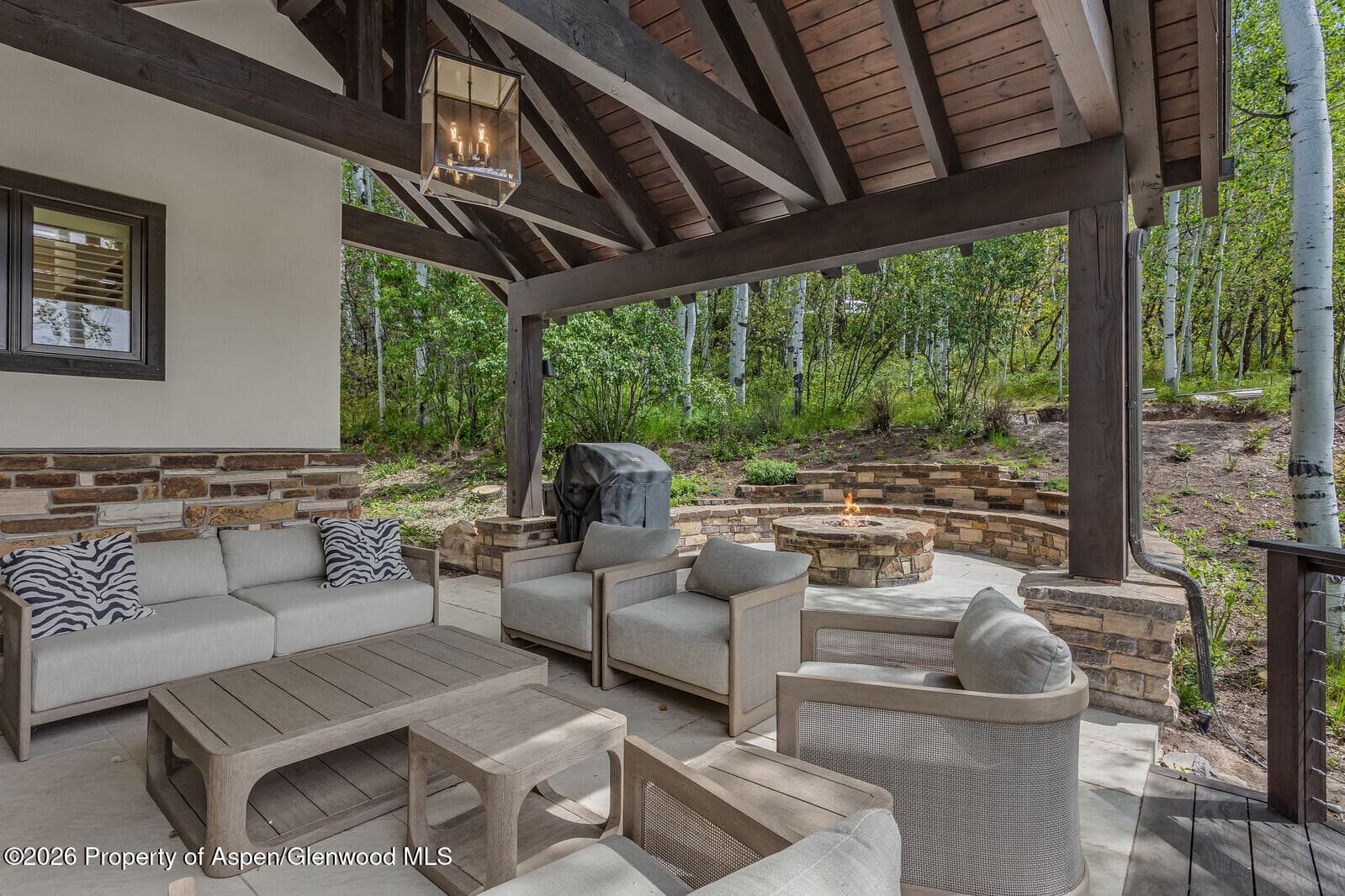 222 Roaring Fork Drive, Aspen, CO 81611 - Photo 59