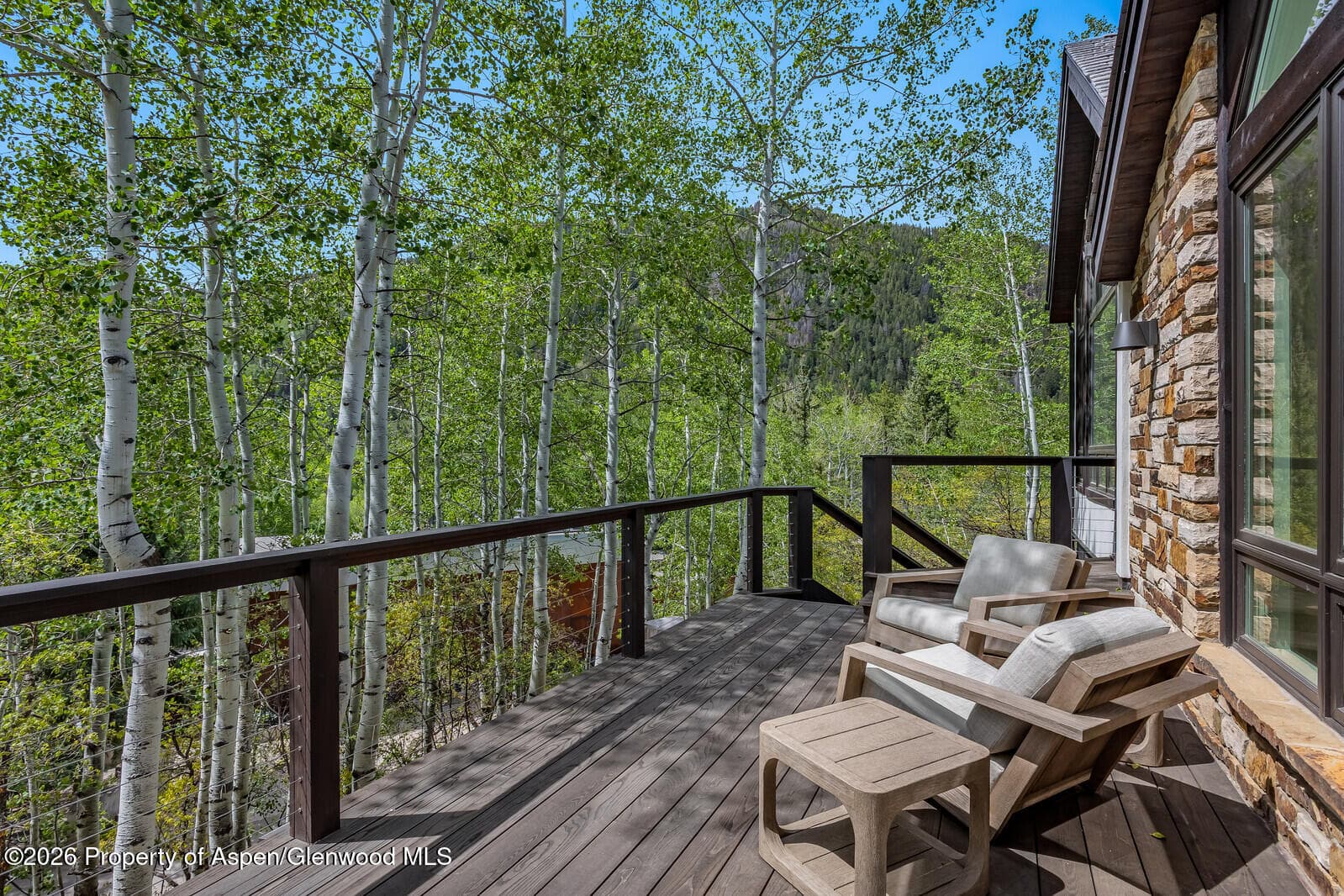 222 Roaring Fork Drive, Aspen, CO 81611 - Photo 68
