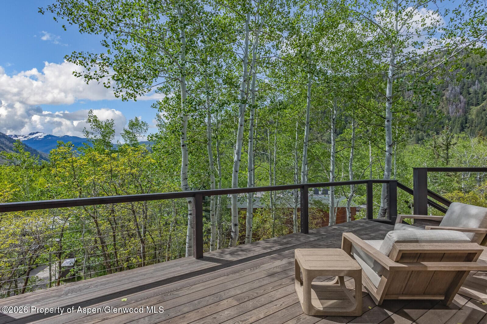 222 Roaring Fork Drive, Aspen, CO 81611 - Photo 69