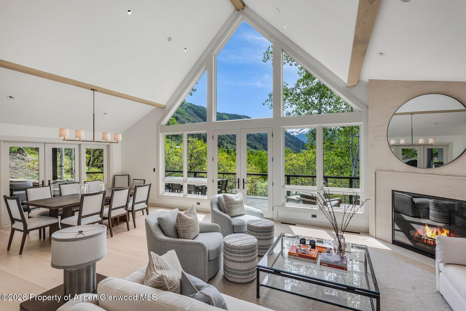 222 Roaring Fork Drive, Aspen, CO 81611 - Photo 8