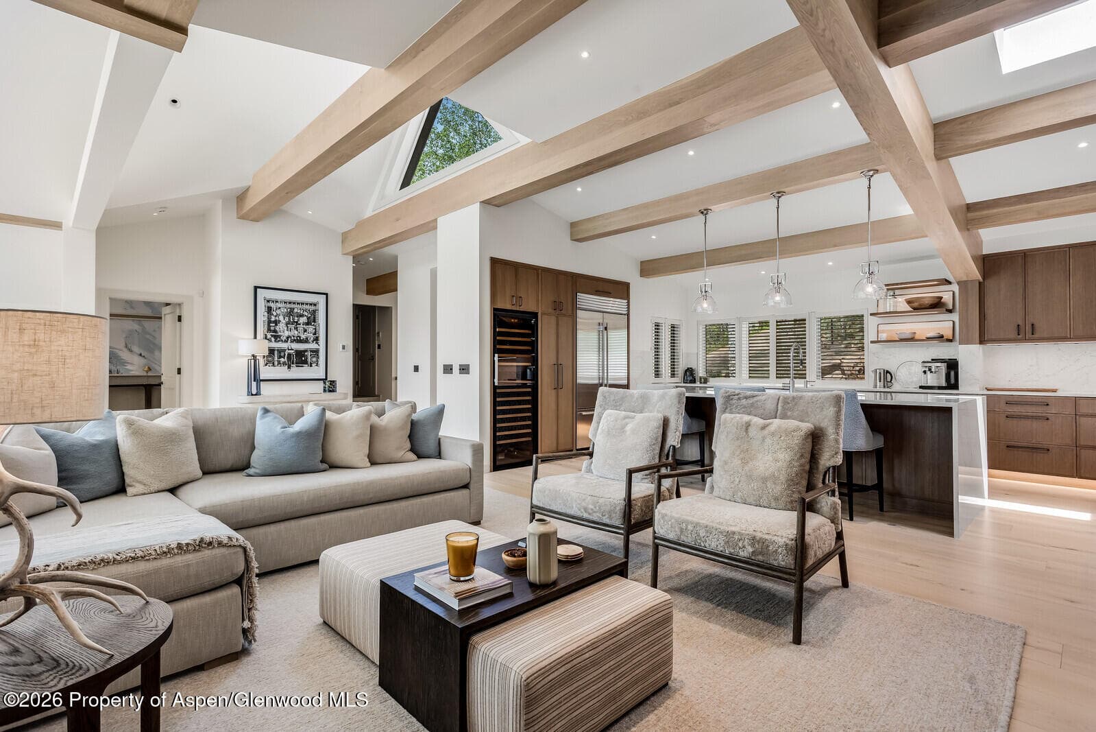 222 Roaring Fork Drive, Aspen, CO 81611 - Photo 10