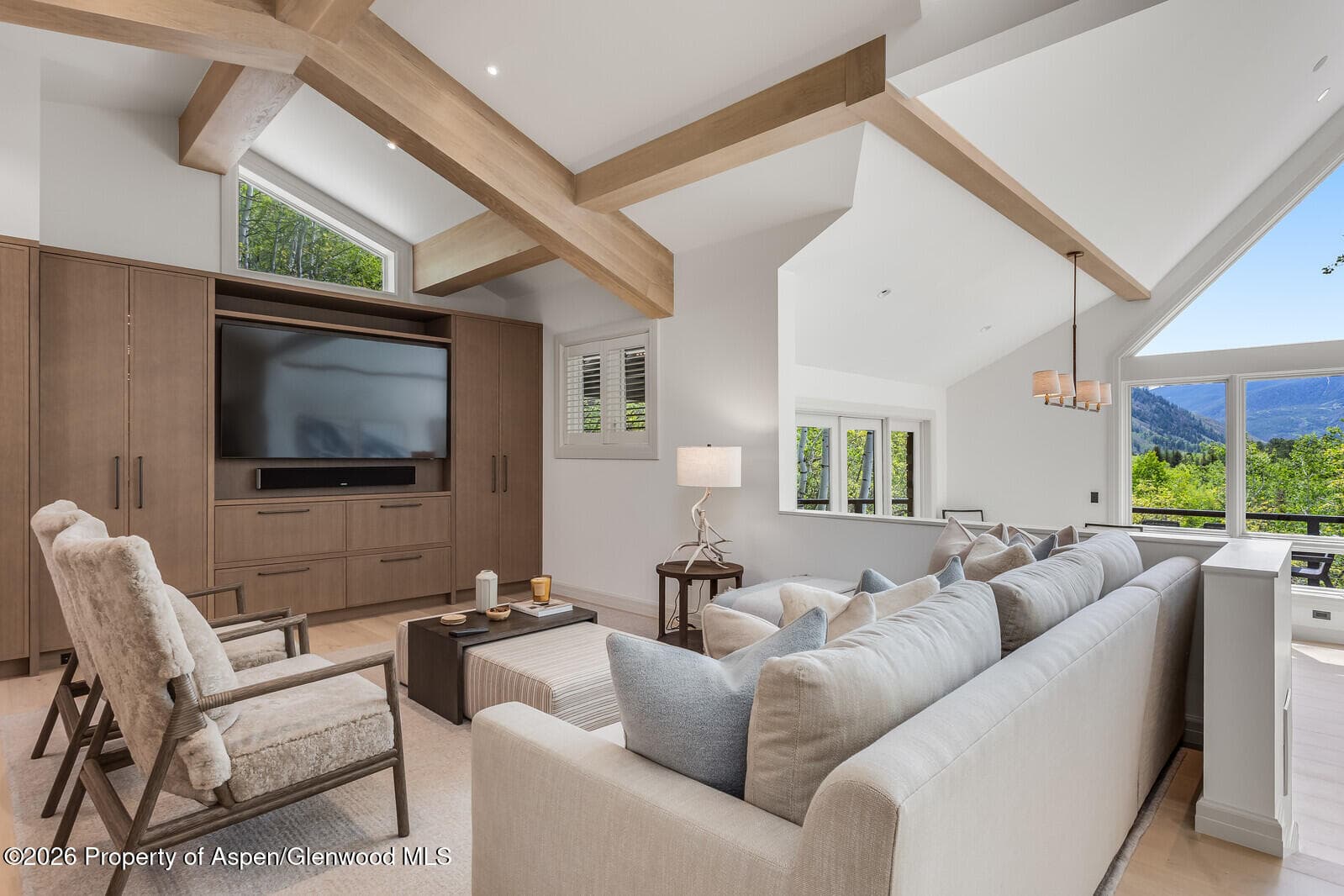 222 Roaring Fork Drive, Aspen, CO 81611 - Photo 9