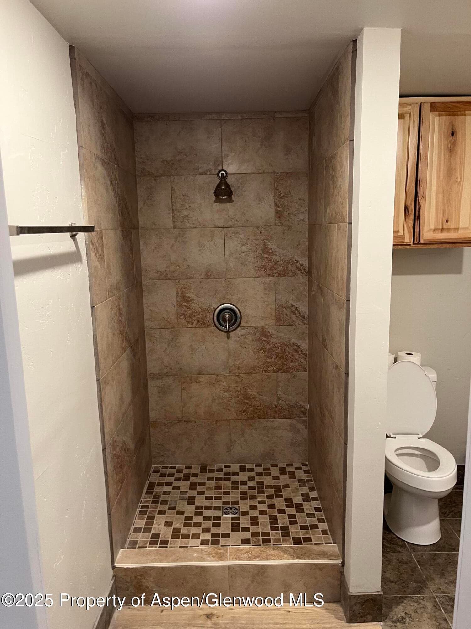 6702 Highway 82, Glenwood Springs, CO 81601 - Photo 30