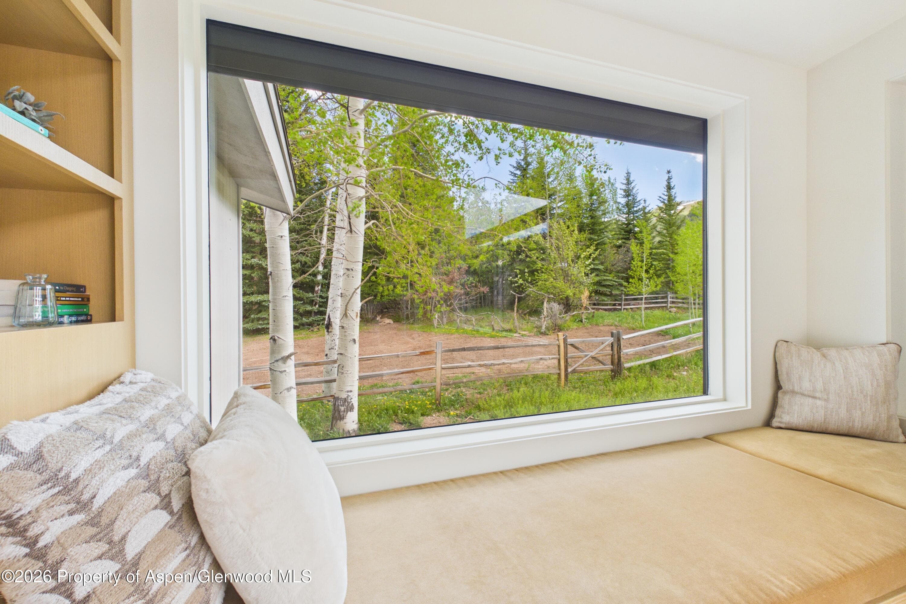 45 Glen Eagles Road, Aspen, CO 81611 - Photo 7