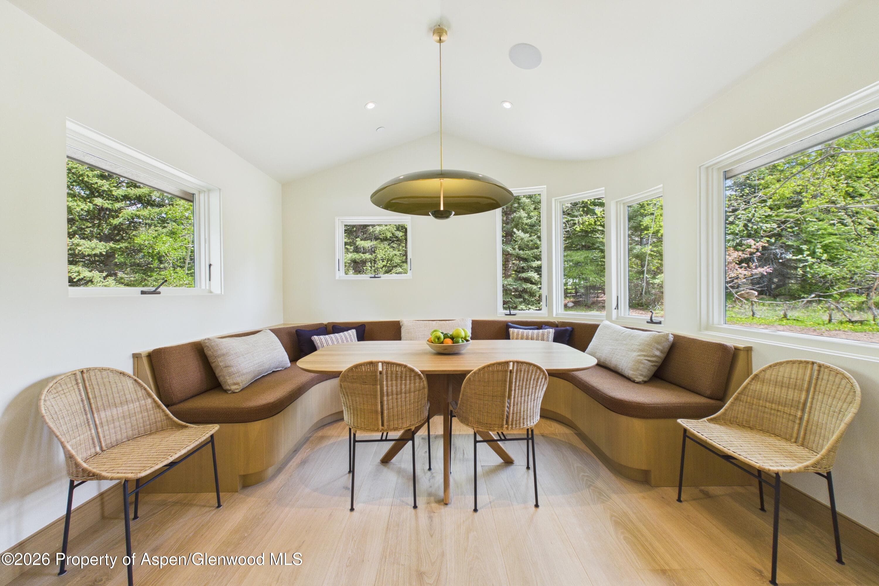 45 Glen Eagles Road, Aspen, CO 81611 - Photo 8