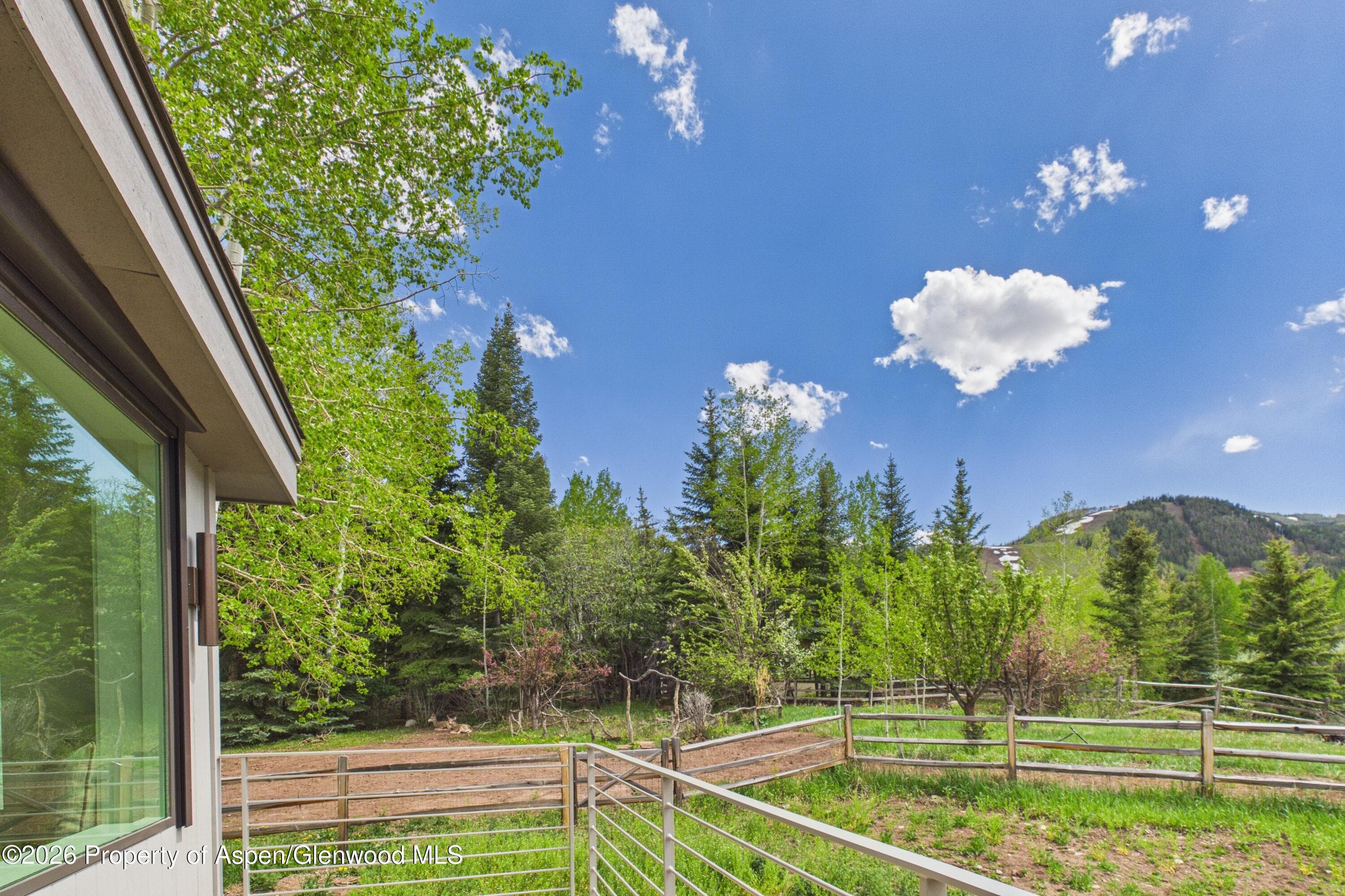 45 Glen Eagles Road, Aspen, CO 81611 - Photo 36