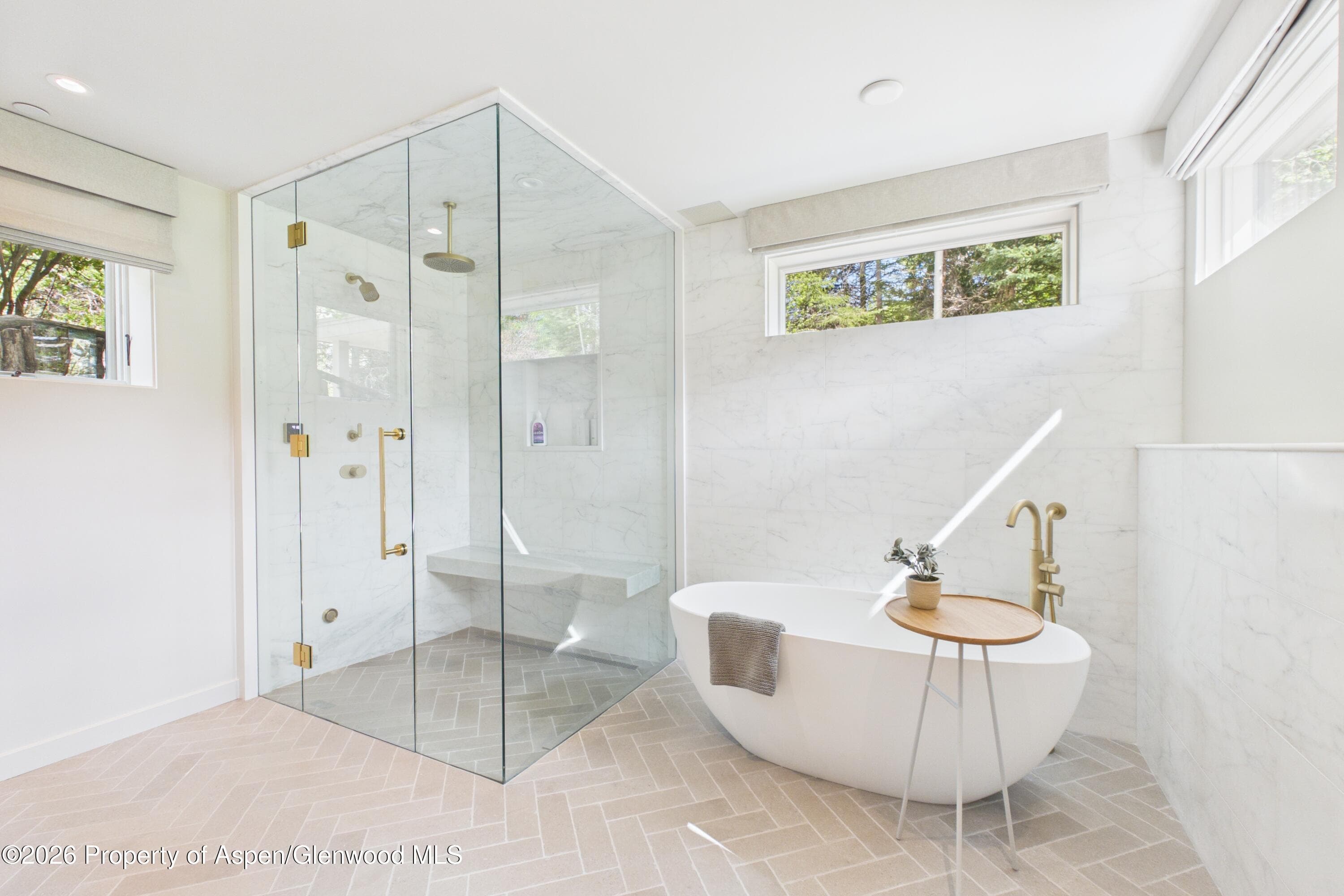 45 Glen Eagles Road, Aspen, CO 81611 - Photo 18