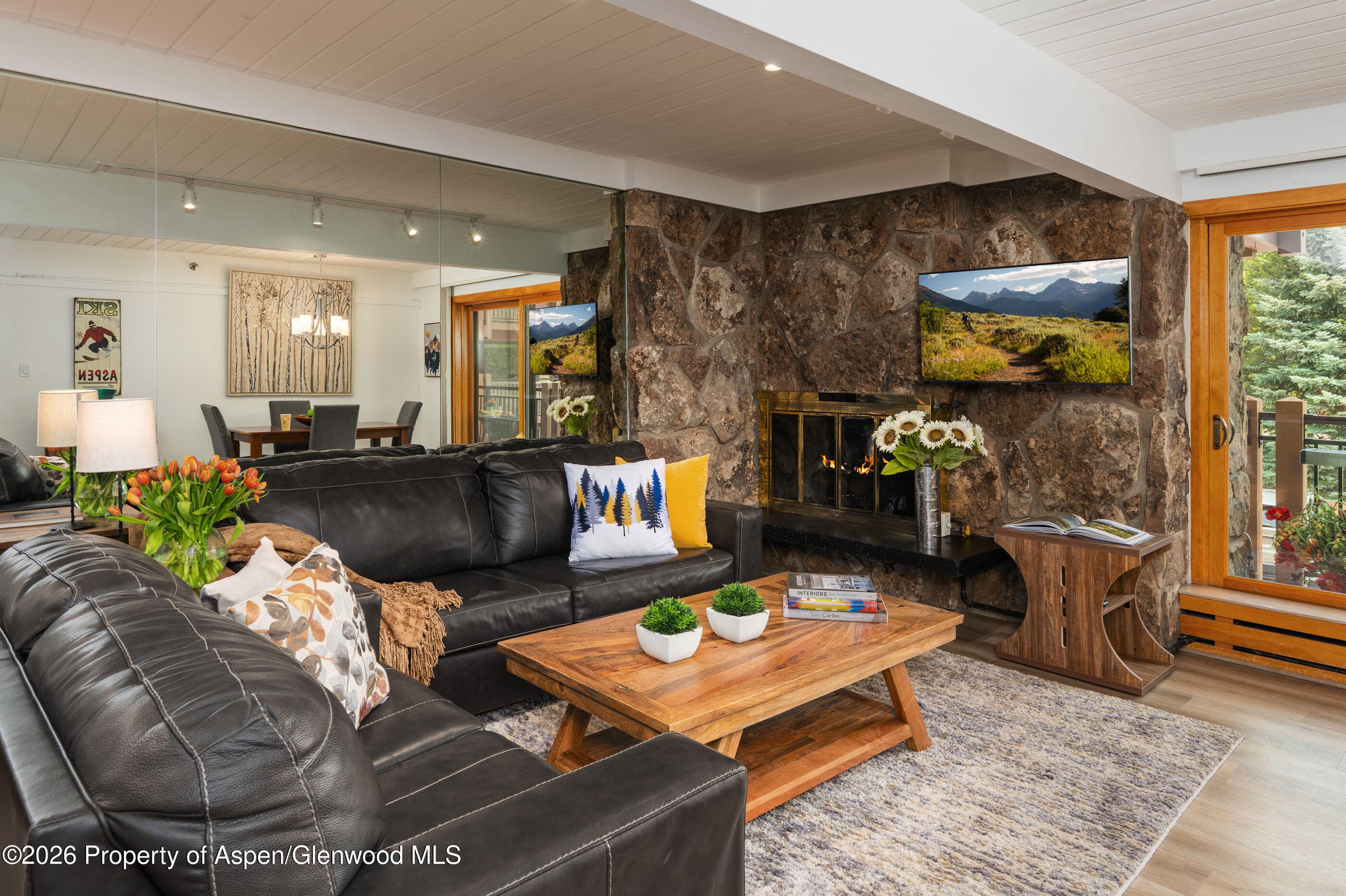 30 Anderson Lane 806, Snowmass Village, CO 81615 - Photo 1
