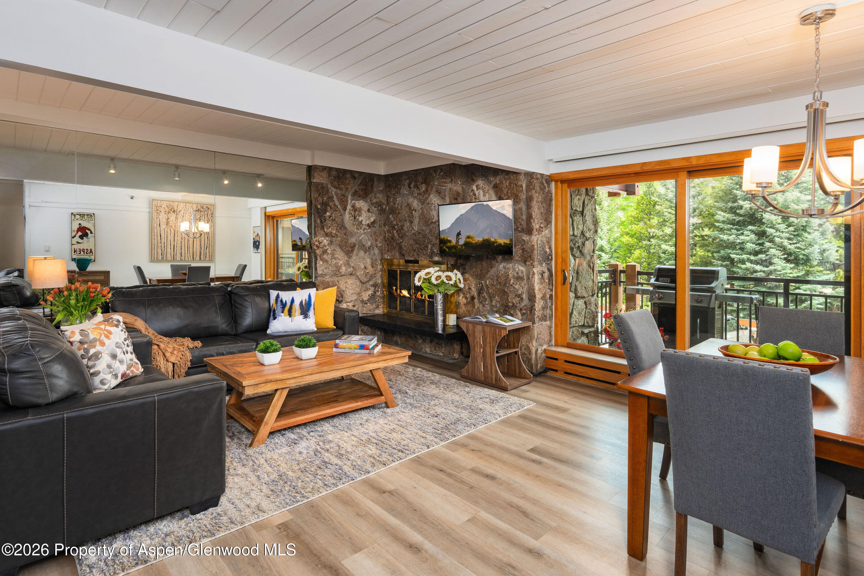 30 Anderson Lane 806, Snowmass Village, CO 81615 - Photo 3