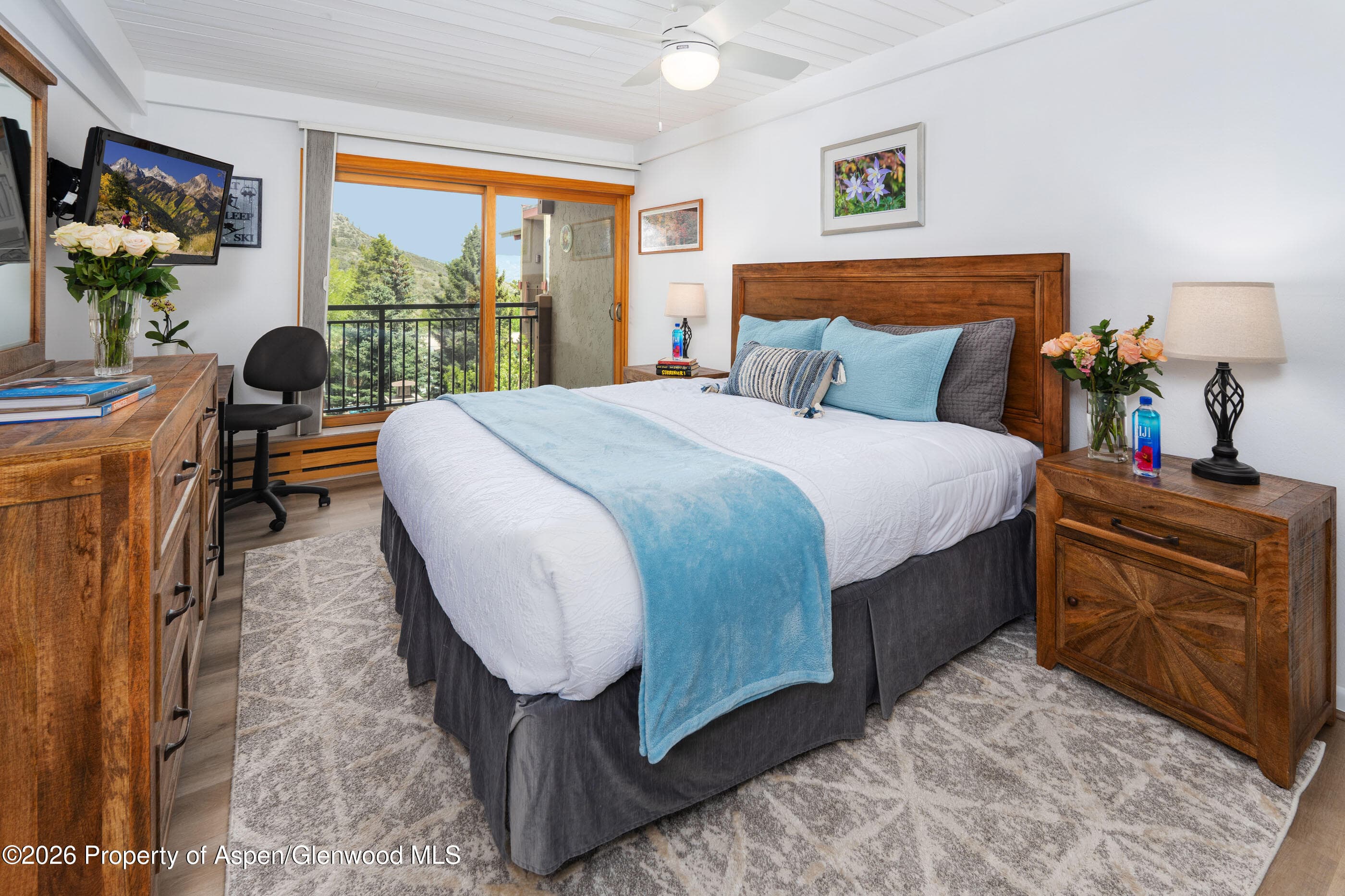 30 Anderson Lane 806, Snowmass Village, CO 81615 - Photo 10