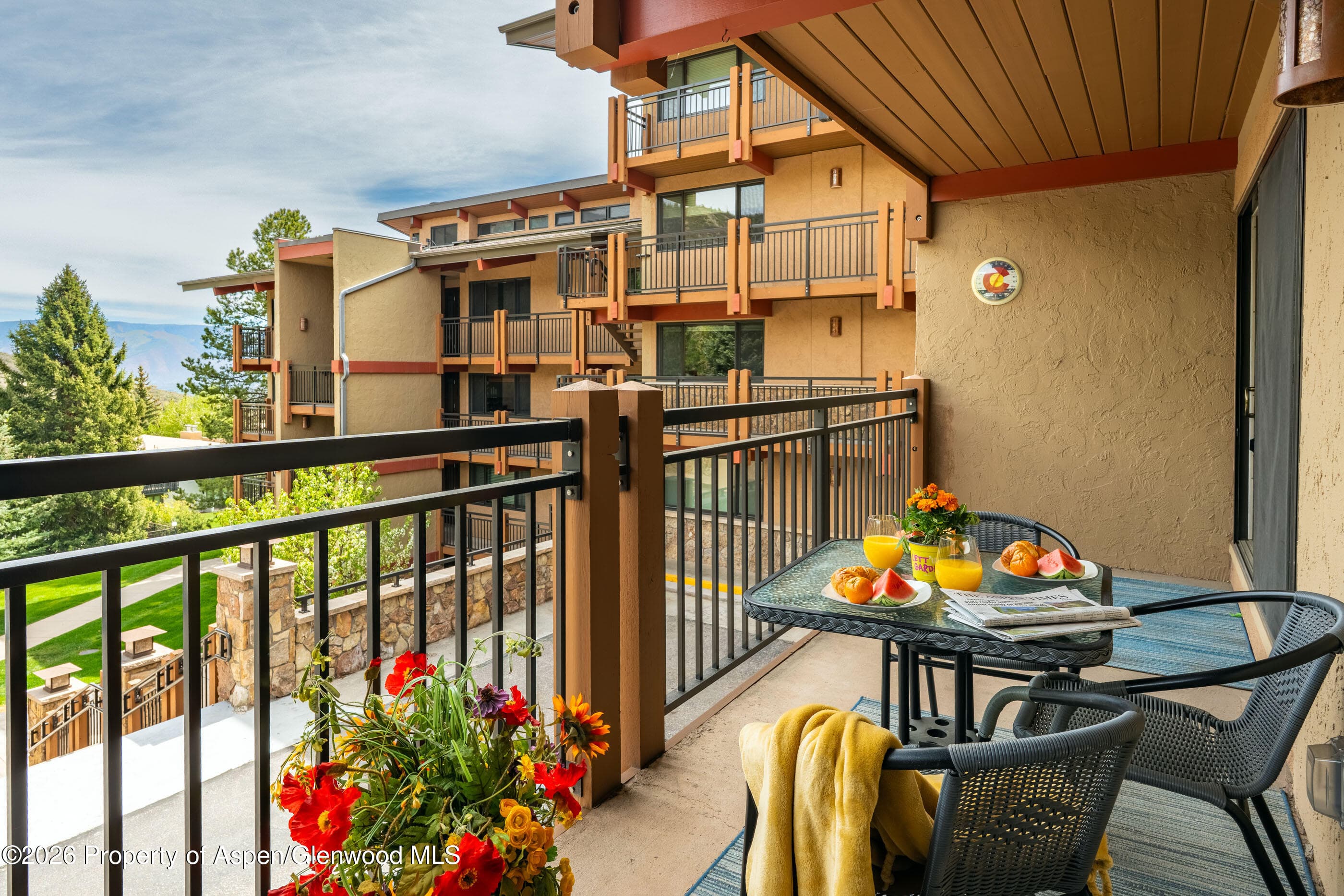 30 Anderson Lane 806, Snowmass Village, CO 81615 - Photo 14