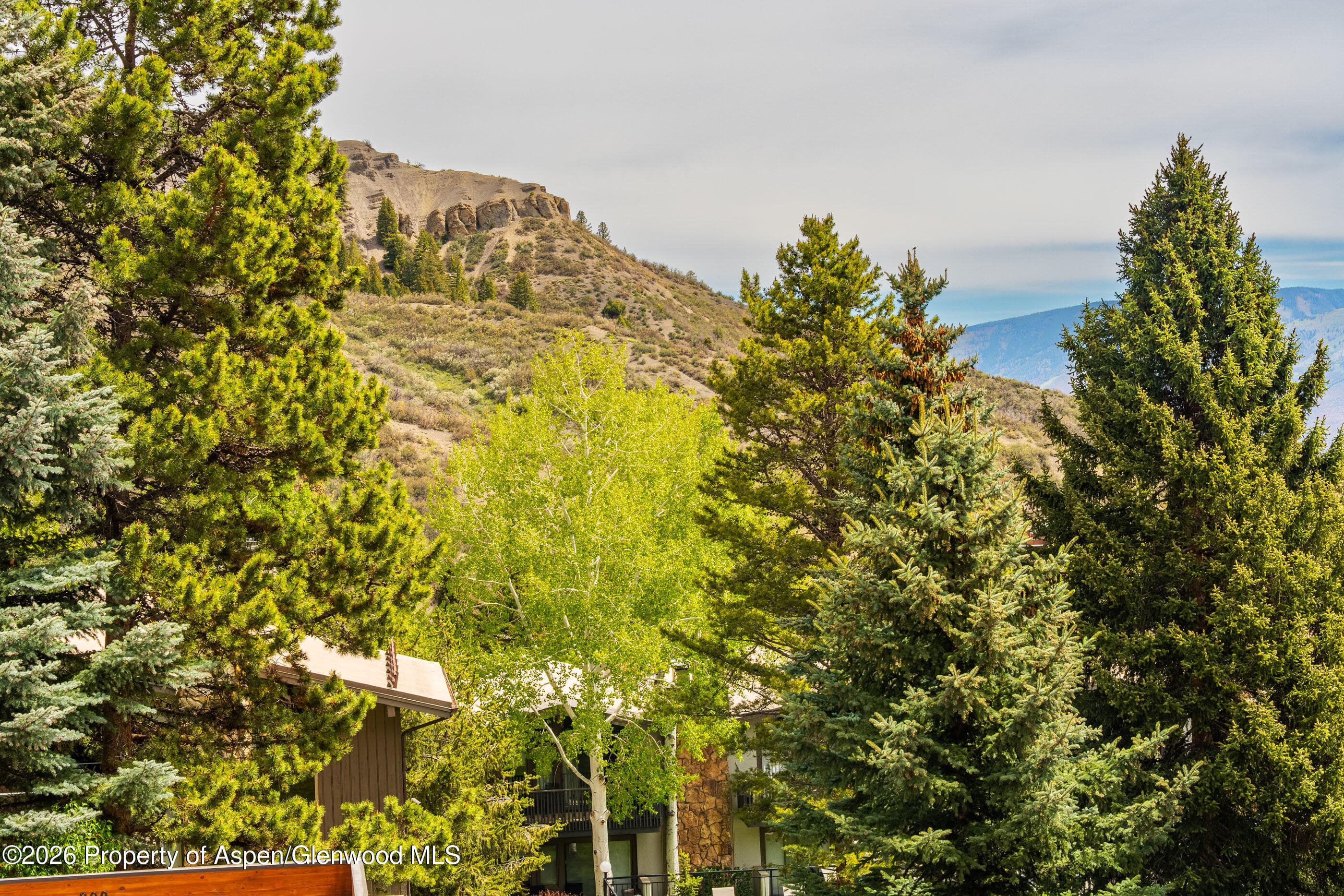 30 Anderson Lane 806, Snowmass Village, CO 81615 - Photo 16