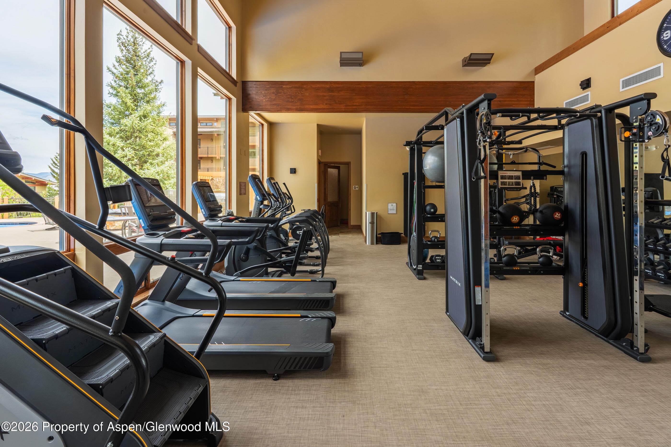 30 Anderson Lane 806, Snowmass Village, CO 81615 - Photo 21