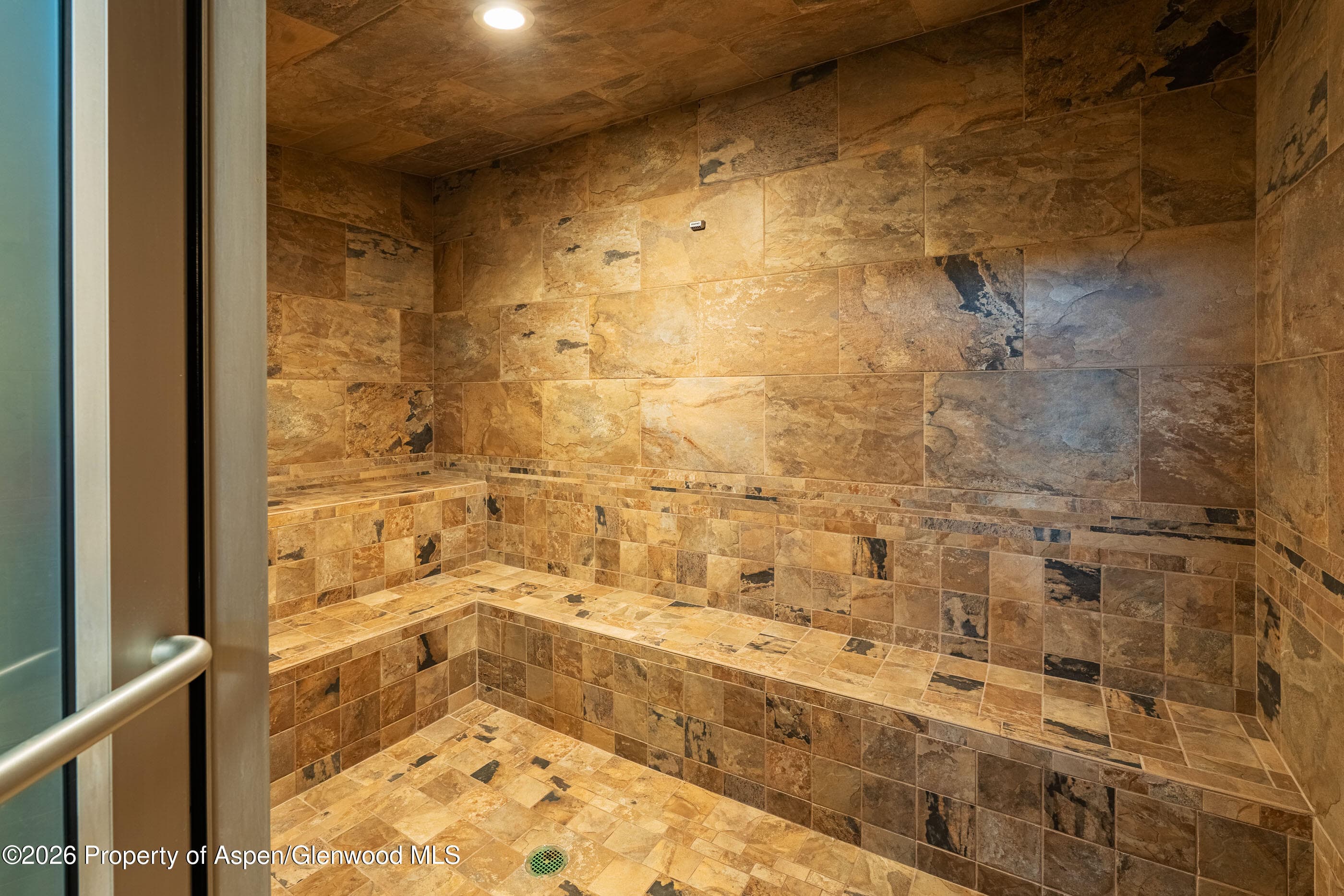 30 Anderson Lane 806, Snowmass Village, CO 81615 - Photo 24