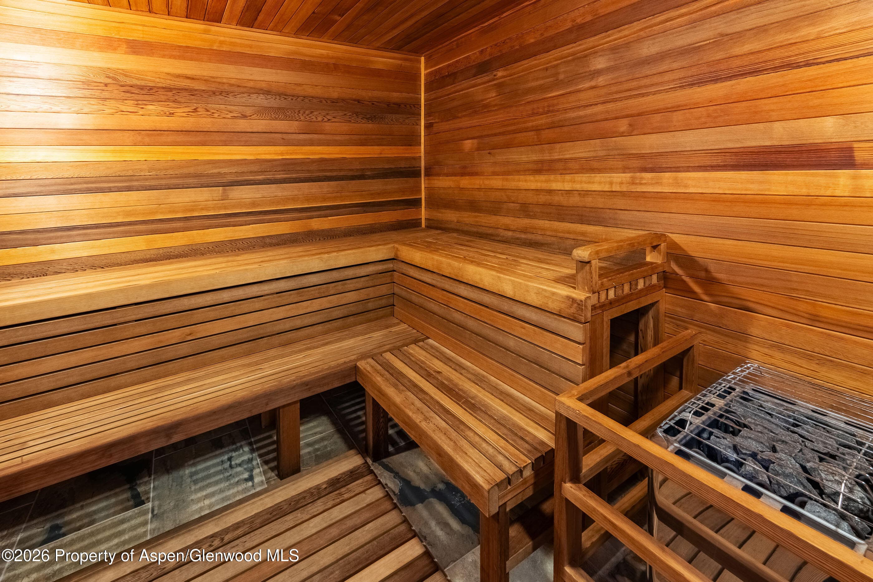 30 Anderson Lane 806, Snowmass Village, CO 81615 - Photo 23