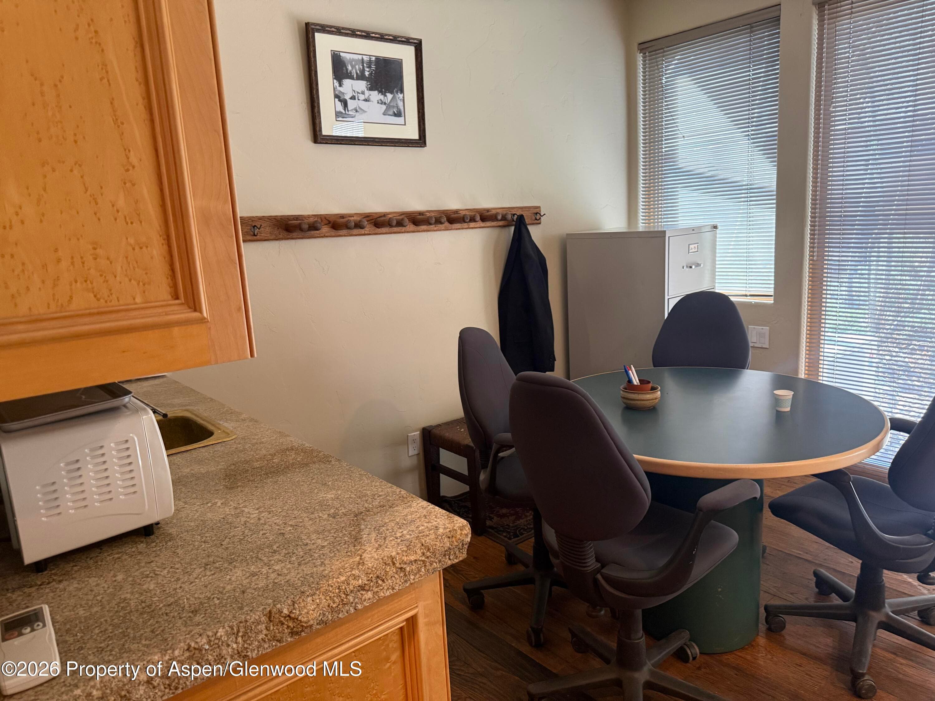 617 W Main Street B, Aspen, CO 81611 - Photo 6