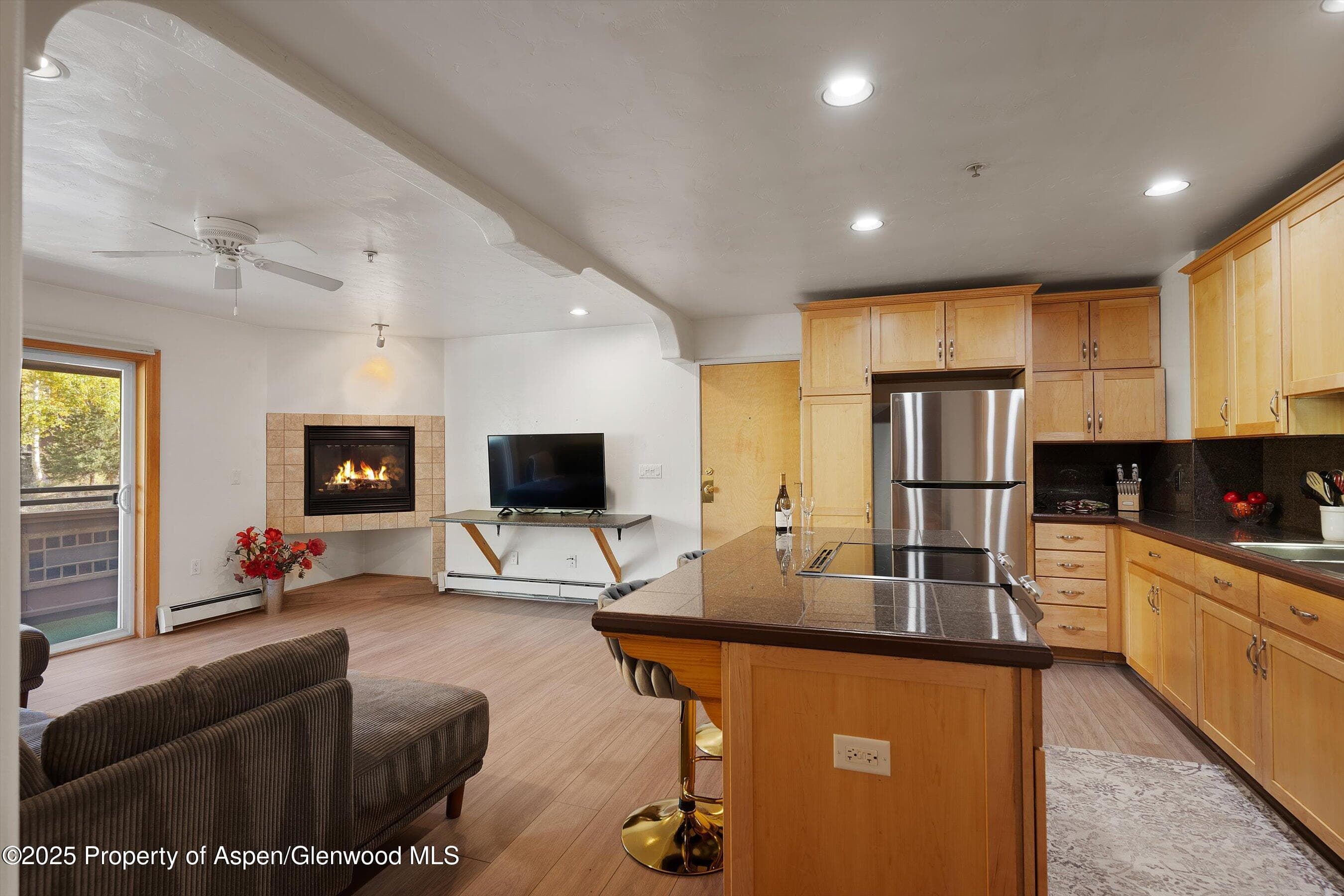 326 Midland Avenue 306, Aspen, CO 81611